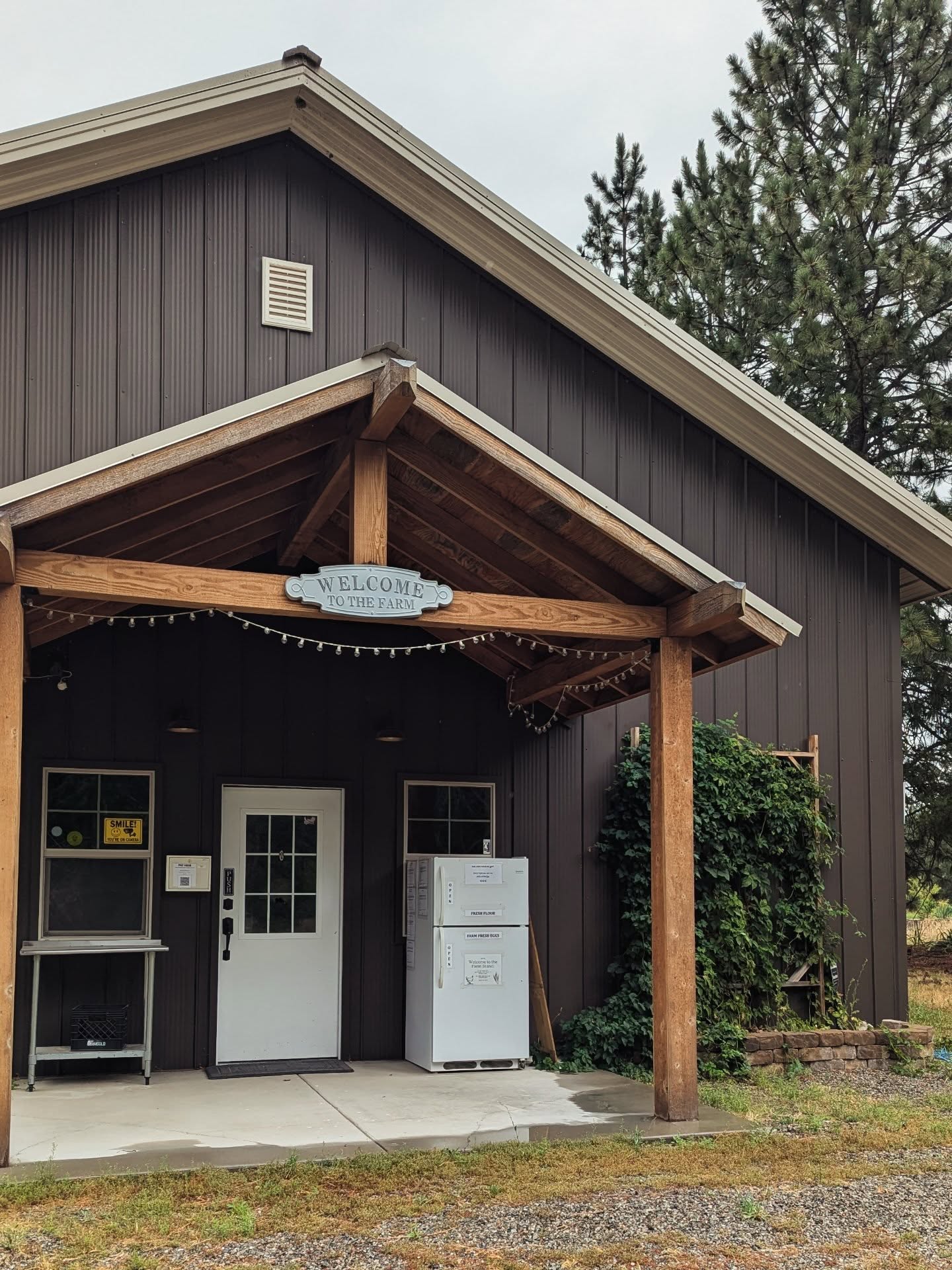 🌾 This Week at the Farm Stand 🥚
Our stone-milled whole grain flours are ready for your pantry!
🧺 Available This Week: 🥚 Farm Fresh Eggs – $6 per dozen
🌾 Turkey Red Whole Wheat – $15 for 10 lbs
🌾 Rouge de Bordeaux Whole Wheat – $10 for 10 lbs
🌾 Basra Gold Whole Wheat – $15 for 10 lbs (ultra rare hard white)
🌾 Elwha River Spelt – $15 for 10 lbs
🌾 Wheat Bran – $4 per bag
All grain is grown locally and milled fresh here on the farm. Quality you can taste in every loaf and recipe.
📍 25415 N Ramsey Rd, Athol, ID 83801
🕰️ Open Fridays from 12 PM to 6 PM and Saturdays from 9 AM to 6 PM
💵 We accept cash, check, or Venmo
Thanks for supporting local food and your neighborhood farm!
#FarmFresh #StoneMilledFlour #BasraGold #TurkeyRed #RougeDeBordeaux #ElwhaRiverSpelt #WheatBran #FarmEggs #LocalGrain #SelfServeStand #SupportLocal