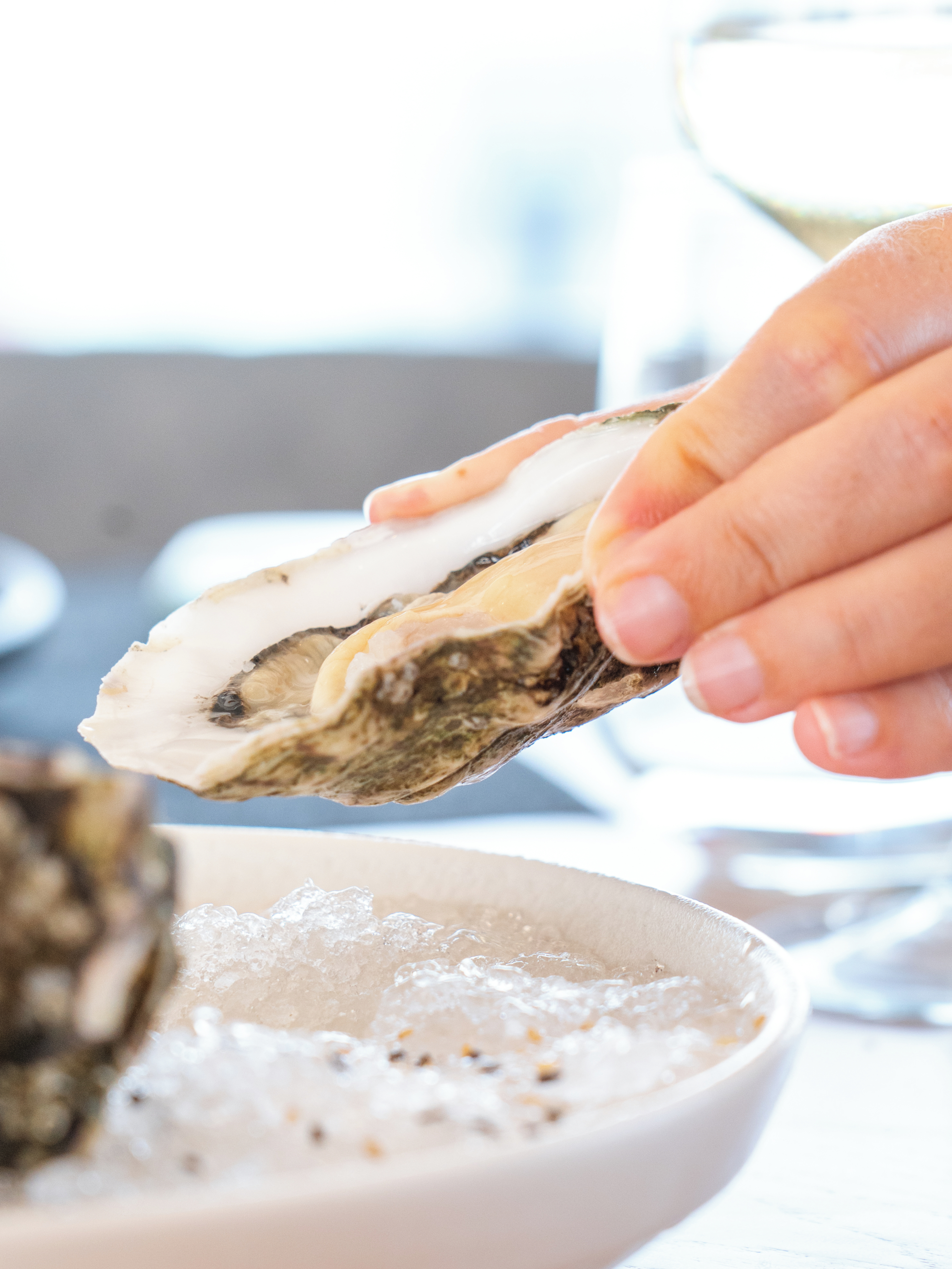 🥂 Ostras francesas + cava bien frío = la fórmula del Mediterráneo.
El puerto de Sitges de fondo y este maridaje en tu mesa… ¿qué más se puede pedir?
💬 ¿Eres team cava o team vino blanco para acompañar?
#OlaveSitges #Ostraslouis #cava #sitges