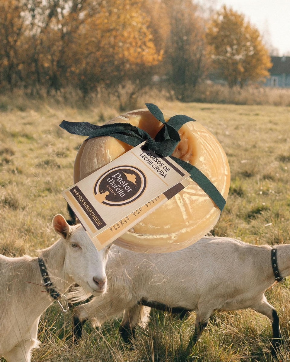 🧀 Formatge artesà El Pastor de Morella
Gràcies a la llet dels nostres animals i al saber fer artesà, neixen formatges com aquest: amb personalitat pròpia i un sabor que parla del lloc d’on venen.
#pastordemorella #elsportsésautèntic #morella #elsports #formatgeartesà