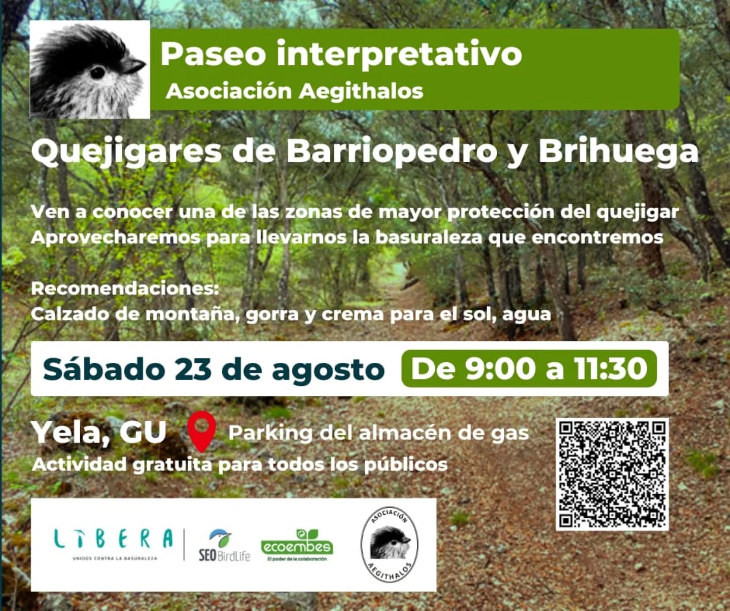 📢 ¡Nueva actividad!
En este caso os ofrecemos un paseo interpretativo 🥾 por los quejigares 🌳 de Barriopedro y Brihuega.
📍 Yela
🗓️ 23 de agosto
ℹ️ Más información en cartel
Recuerda que puedes mantenerte informado de las novedades de la asociación a través de su página web (https://asociacionaegithalos.wixsite.com/aegithalos).
#libera #asociaciónaegithalos #conservacióndelanaturaleza #Brihuega #basuraleza