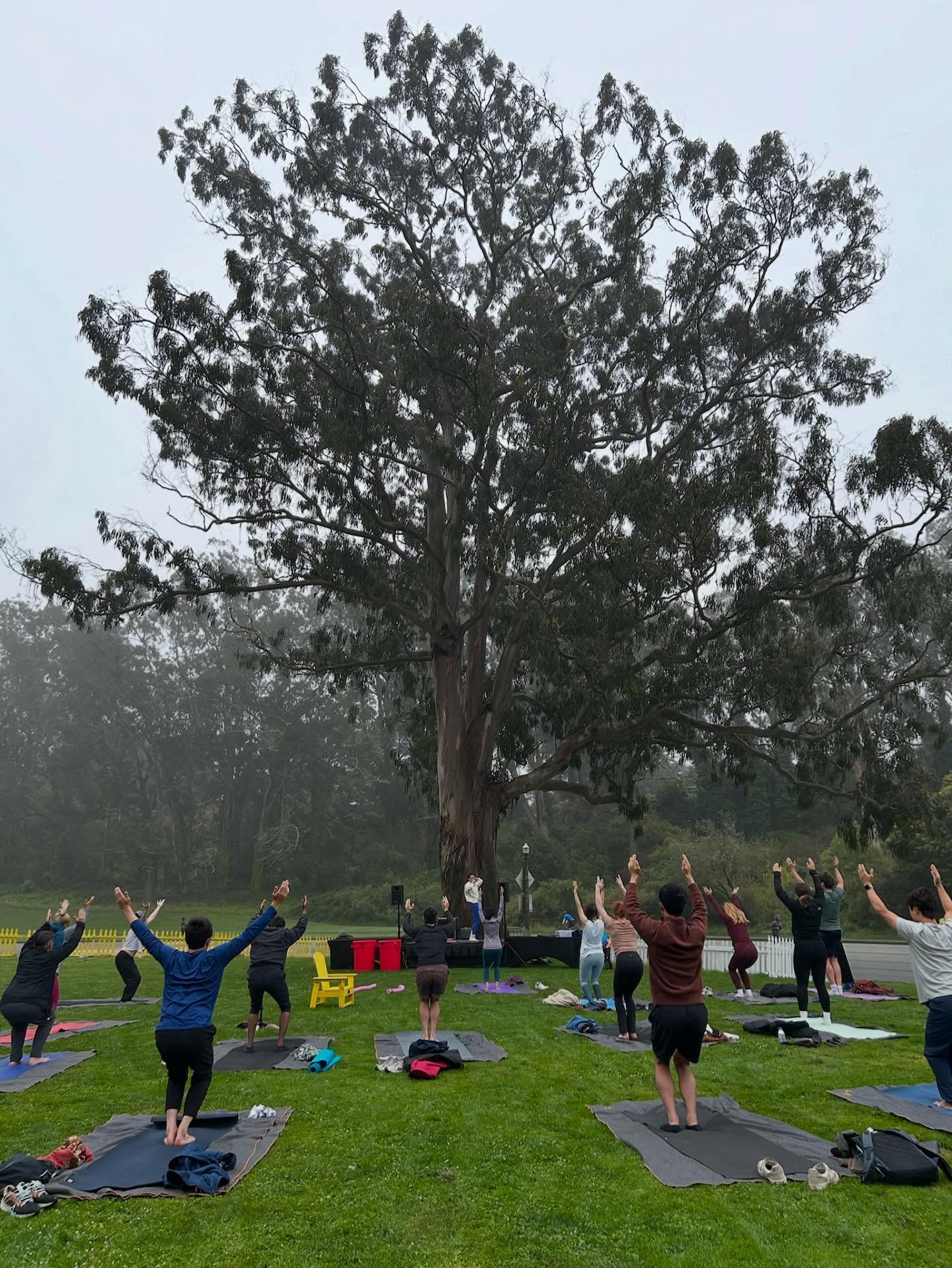 Thank you everyone who came out today to yoga at the whale’s tail. It was a cool, misty morning but we brought the heat 🔥🔥 with core activators and powerful dynamic movements. You did that!!
See you next Saturday!
📍The Whale’s Tail, 14th Ave East meadow, (near the rose garden)
⏰ 11AM-12PM
🗓️ Saturdays All Summer Long (check schedule online)
🔗 link in bio to sign up for class
🏷️
.
.
.
.
.
#sanfranciscoyoga #sanfrancisco #bayarea #bayareayoga #freeyoga #freeyogaclass #outdooryoga #outdooryogasf #outdooryogaclass #sf #sfyogateacher #sfyoga #sfwellness #sfbayarea #thesweatlifesf #thesweatlife