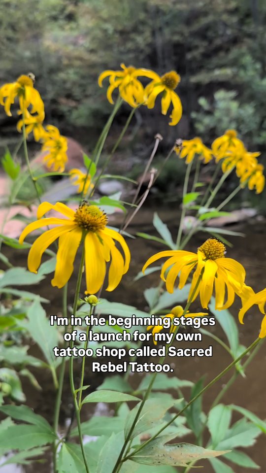 Comment LINK and I'll message you directly 🩵
Please consider supporting my campaign however you're able to.
A little effort goes a long way, whether it's a small pledge or prepayment for two full day sessions (at a nice discount!), or whether sharing this video is all you can offer at this time, nothing goes unnoticed.
It's a small world... You never know who could see this and who might make a campaign like this become successful, so please reshare this video.
Crowdfunding is nothing without the CROWD.
I cannot spread the word alone.
I cannot do this alone.
This is about COMMUNITY.
There is power in numbers.
I have launched this campaign because I don't have many other options at this time due to many external circumstances with the current economic landscape.
Stepping outside my comfort zone and throwing a hail Mary to get started isn't easy for me.. asking for help isn't easy.
I know that what I'm bringing to this community will be fruitful and will fill a much needed void, and will touch the lives of many for years to come.
This is about creating a better reality, one tattoo at a time.
You want to be a part of this, don't you?
Thank you
I love you
Xx Nicole
#sedonatattooartist #tattoosedona #arizonatattooartist #ladytattooers #intentionaltattoo #sedona