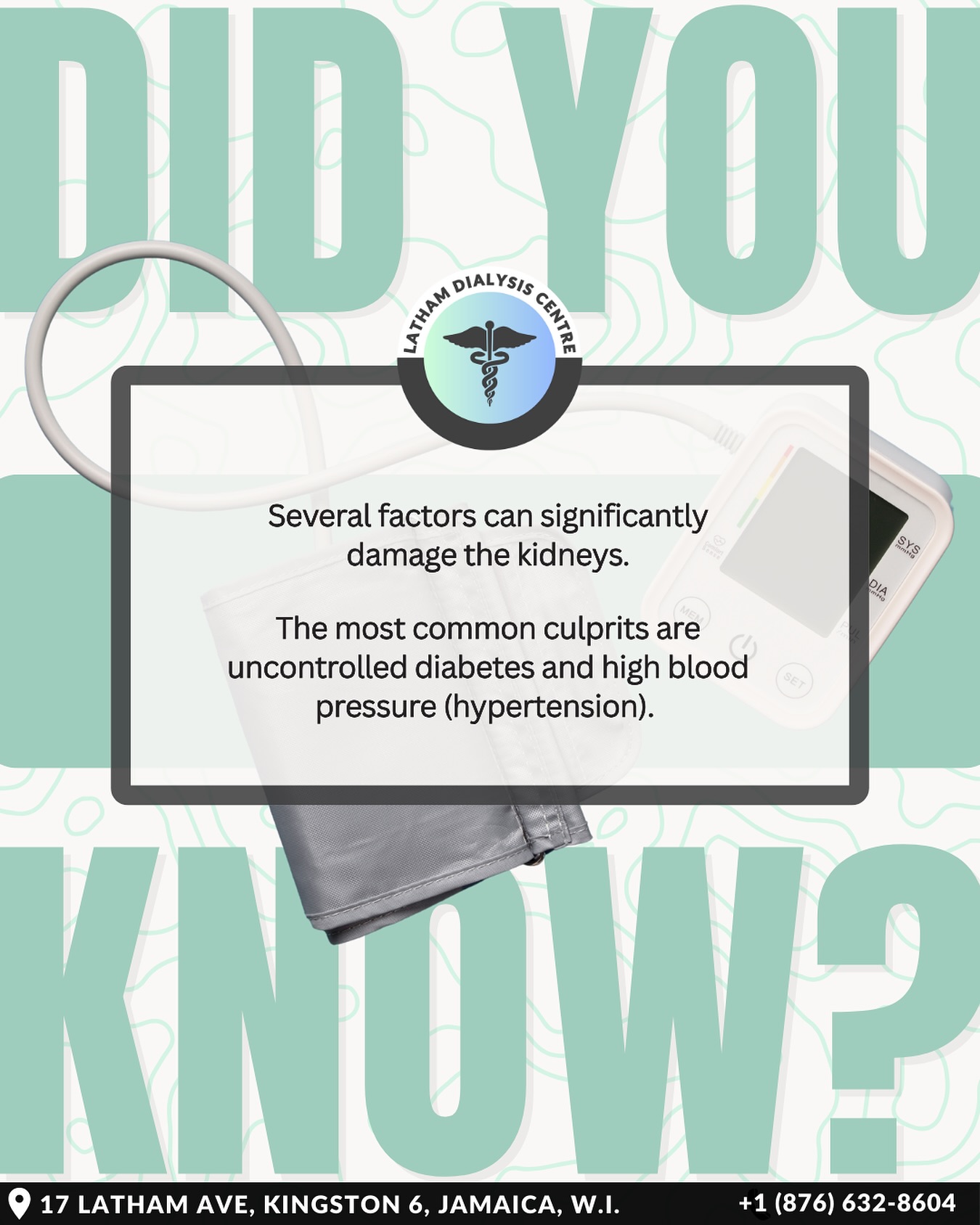 These are the main culprits…
#LathamDialysis #LathamDialysisCentre #LathamDialysisJamaica #Jamaica #Kingston #KidneyDialysis #KidneyDialysisJamaica #KidneyDialysisinKingston #KidneyHealth #DialysisCenter #kidneydialysisinjamaica #KidneyDiseaseRisks #Hydration #HighBloodPressure #Diabetes