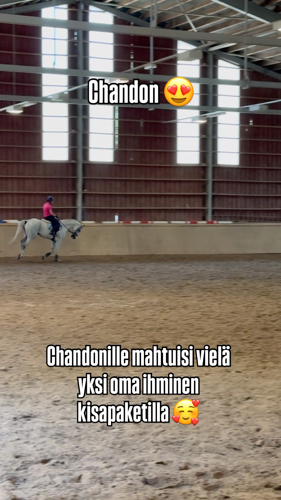 Chandonille mahtuisi vielä yksi oma ihminen kolmen päivän kisapaketilla 😍
Chandon on 13-vuotias ruuna, joka tehnyt 125 tasoa. Hän on ihana herrasmies ja aika kiva myös sileällä.
Lisäksi vapautumassa yksittäisiä päiviä syyskuun alussa näiltä hevosilta:
Nasu-Pirkko, Rosie, Valtteri ja Sohvi 👌
Lue lisää omahevonen.fi Sieltä löytyy esittelyt kaikista hevosista ja kattavasti tietoa meidän omahevosmallista.
Tai laita viestiä meidän opettajalle Noralle
📞044 494 6770
#ccchandon
#omahevonen
#omahevonenespoonkartano