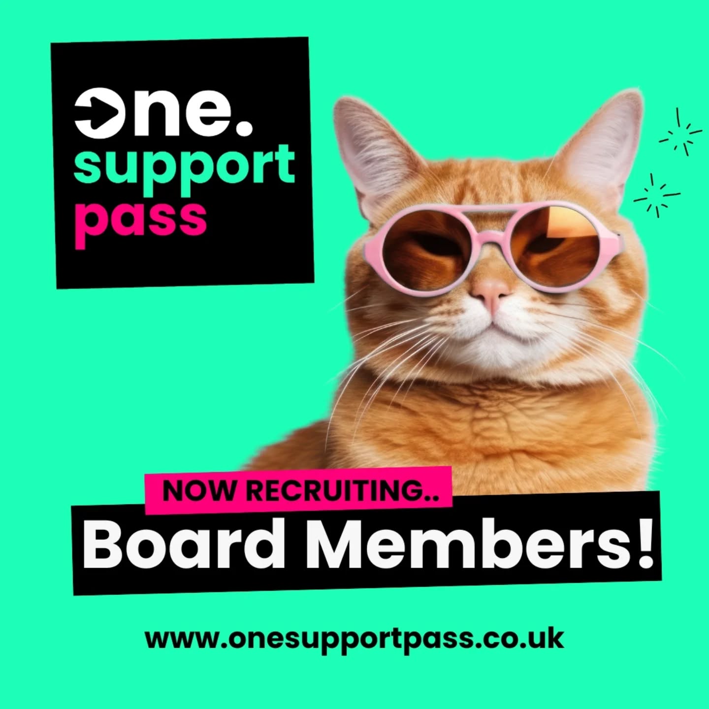 Calling all cool cats! Join the board of the One Support Pass CIC 🎉 Help us build a world where difference is celebrated and welcomed.
One Support Pass CIC is a NEW, non-profit social enterprise on a mission to make inclusion real. We’re unapologetically human. Building tools that break down barriers, empower people to share their support needs with dignity, and create a culture where every difference is valued.
We’re looking for 3 amazing humans to join our founding board. Could it be you? 👀
- Especially if you have lived experience of marginalisation or underrepresentation.
- Or if you bring financial skills / governance know-how (bonus points if you’re up for Treasurer!).
- Above all, if you’re committed to equity, diversity, and building systems that work for everyone.
HOW TO APPLY:
If you’d like to join us, please send a short expression of interest (a CV or a one-page summary of your experience and why you’d like to be involved) to:
admin@onesupportpass.co.uk
If you need any adjustments to take part in the application or interview process, please let us know. We want to make sure the process is accessible and supportive for everyone.
We actively encourage applications from people of all backgrounds. Your lived experience is as valuable as professional expertise 🫶
Applications close 26th September
www.onesupportpass.co.uk
#BoardMembers #Board #CIC #Recruiting #JoinUs #OneSupportPass #ApplyNow
Image Description: A bright graphic with a turquoise background featuring a cat wearing pink sunglasses. There is a black square logo with the text “one. support pass”. Below the cat, bold text in black and white reads: “NOW RECRUITING.. Board Members!” with “NOW RECRUITING..” highlighted in pink. At the bottom, the website URL is displayed in black.
