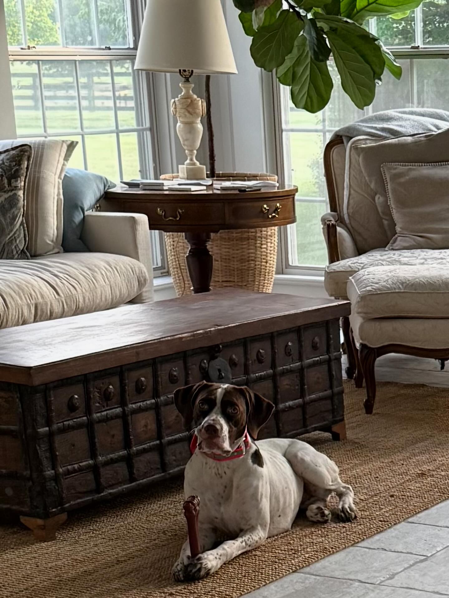 Ramey’s Elhew Wild Heir