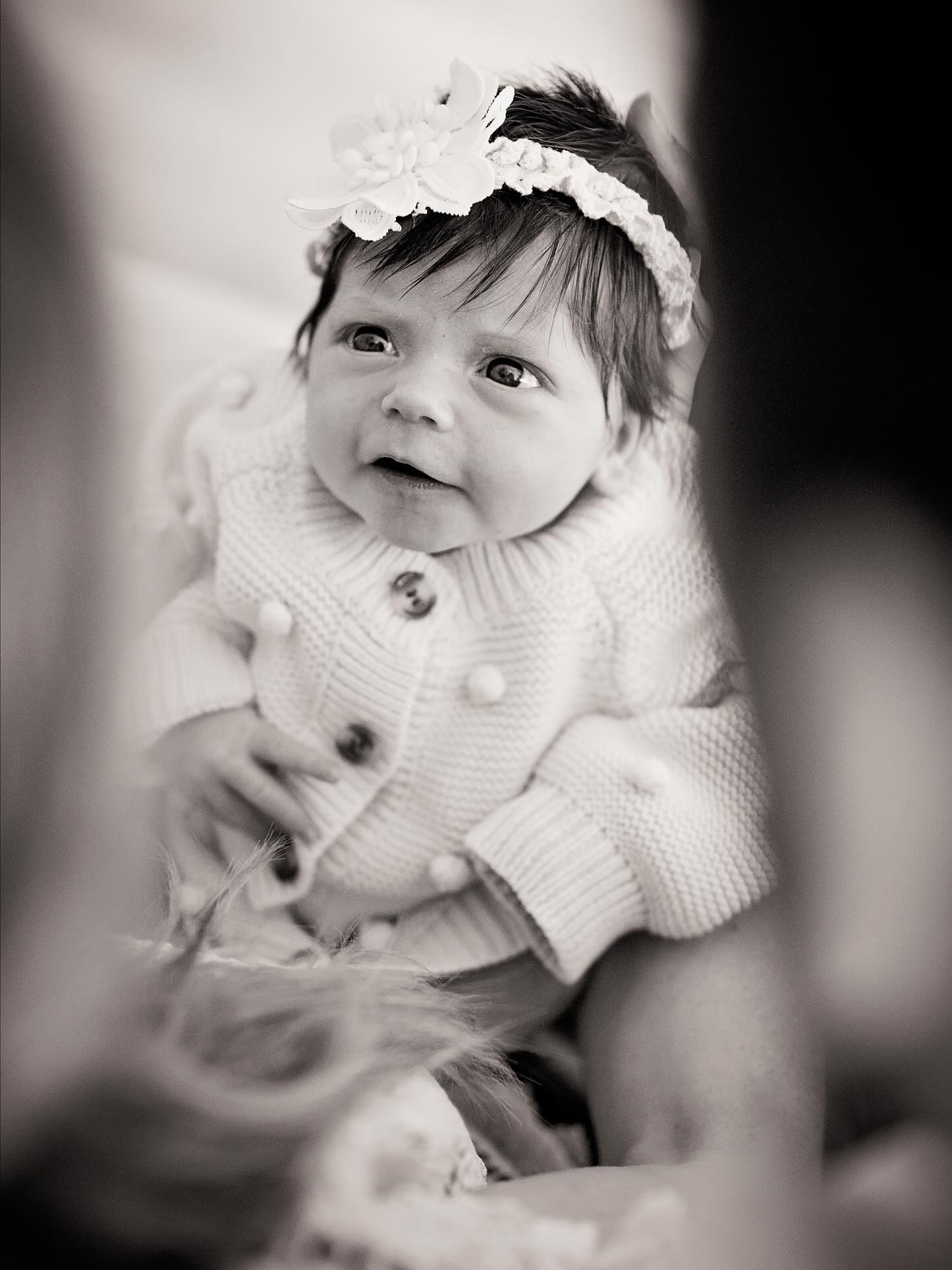 Capturing those early days in a genuine and authentic way, within the heart of your home.
These lifestyle newborn sessions in Johannesburg are all about embracing the real moments with your newest family member
- with lots of snuggles!
#JohannesburgNewbornPhotographer #JoburgNewbornPhotographer #NewbornPhotographyJohannesburg #LifestyleNewbornPhotography #InHomeNewbornSession #NewbornPhotographerSouthAfrica #JoburgLifestylePhotography #NewbornPhotos #BabyPhotography #WelcomeLittleOne #NewbornLove #GautengPhotographer #CandidNewbornPhotography #AuthenticNewbornPhotography #NewbornPhotographer #NewbornPhotoshoot #BabyPhotoshoot #FamilyPhotographyJohannesburg