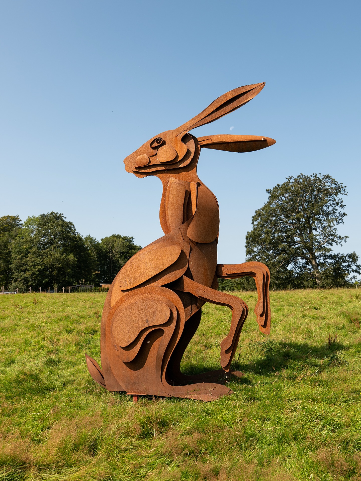 Have you heard of #BringBackTheHare?
Artist @marjanwoudasculpture created the incredible 3.6m steel sculpture “Sir Hare”, which stood proudly outside @whitakermuseum in 2023. When it left Whitaker Park to go “on tour,” many in Rawtenstall were heartbroken.
As Sir Hare left Rossendale for pastures new, locals called it “perfect for the park,” “beautiful lit up at night,” and “a piece of public art that united the Valley.” Sir Hare quickly became part of Rossendale’s identity.
Now there’s an opportunity to bring him home from his current location in Wyresdale Park, Scorton — this time as a stunning Instagram-able, centrepiece in Rawtenstall Town Square.
What are your thoughts? Find out more at www.spacehive.com/bringbackthehare
#RossendaleVibes
#Rawtenstall
#RossendaleValley
#Rossendale
@midpenninearts