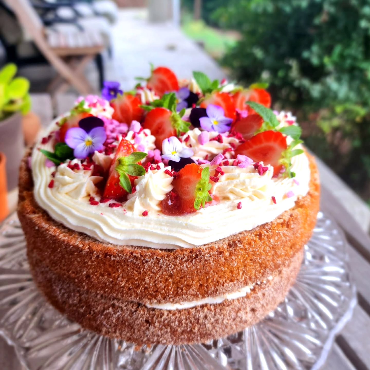 🍓 Weekendproject 🍓
Sommige baksels brengen meteen herinneringen mee. Voor mij deed dit project denken aan de jam roll cakes die we vroeger in Zuid-Afrika zo vaak maakten – luchtige cake, een zoete vulling en altijd die eenvoudige gezelligheid. Hier zou je het misschien kennen als een biscuitrol of confituurrol.
Dat gevoel inspireerde me om iets nieuws te proberen: de CinnaBerry Jam Cake. 🍓✨ Een lichte vanillecake met een knapperige kaneelsuikerlaag, gevuld met aardbeiencoulis en afgewerkt met zachte vanillecrème, bloemetjes en een vleugje meringue.
Mijn indruk?
– Licht, fluffy en toch heerlijk smeuïg.
– De frosting: zacht, luchtig en precies genoeg vanille.
– De aardbei: fris en een beetje pittig, om het zoet in balans te brengen.
– De kaneelsuiker: die vrolijke crunch waar ik meteen blij van word.
Voor mij een blijvertje – maar wel in kleine porties, want hij is behoorlijk zoet. 🌿
👉 Ken jij de biscuitrol of confituurrol nog van vroeger?
#SuikerbekkieTraktaties #CinnaBerryJamCake #WeekendProject #CakeHeaven #strawberrycake #homemadecake #bakinglove #caketime #HeistOpDenBerg #BelgianBaker #AfrikaanseBakliefde #FromSAtoBE