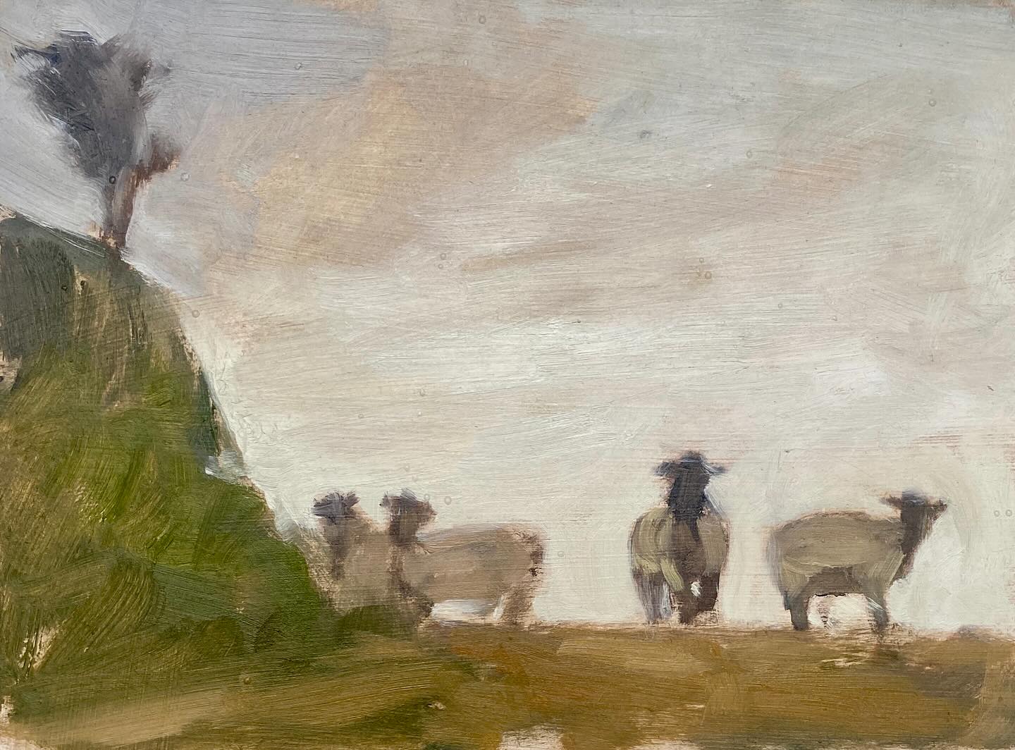 A couple of my paintings done on a painting retreat with @grahamwebberart at @westcott_barton . We are using a very limited palette of unfamiliar paints, in a beautiful part of Devon, surrounded by trees, old buildings , and sheep. If you know me / my work, you will know that all three subjects are far removed from my comfort zone….. all are #WIP but to be honestt, I was quite pleased with my “ 15 min sheep challenge “ ….. 🤣🤣 Graham is a brilliant tutor- generous with sharing his ideas and focusing on the foibles of each student in turn!!
#outofmycomfortzone #paintwhatyousee #limitedpalette #devonart