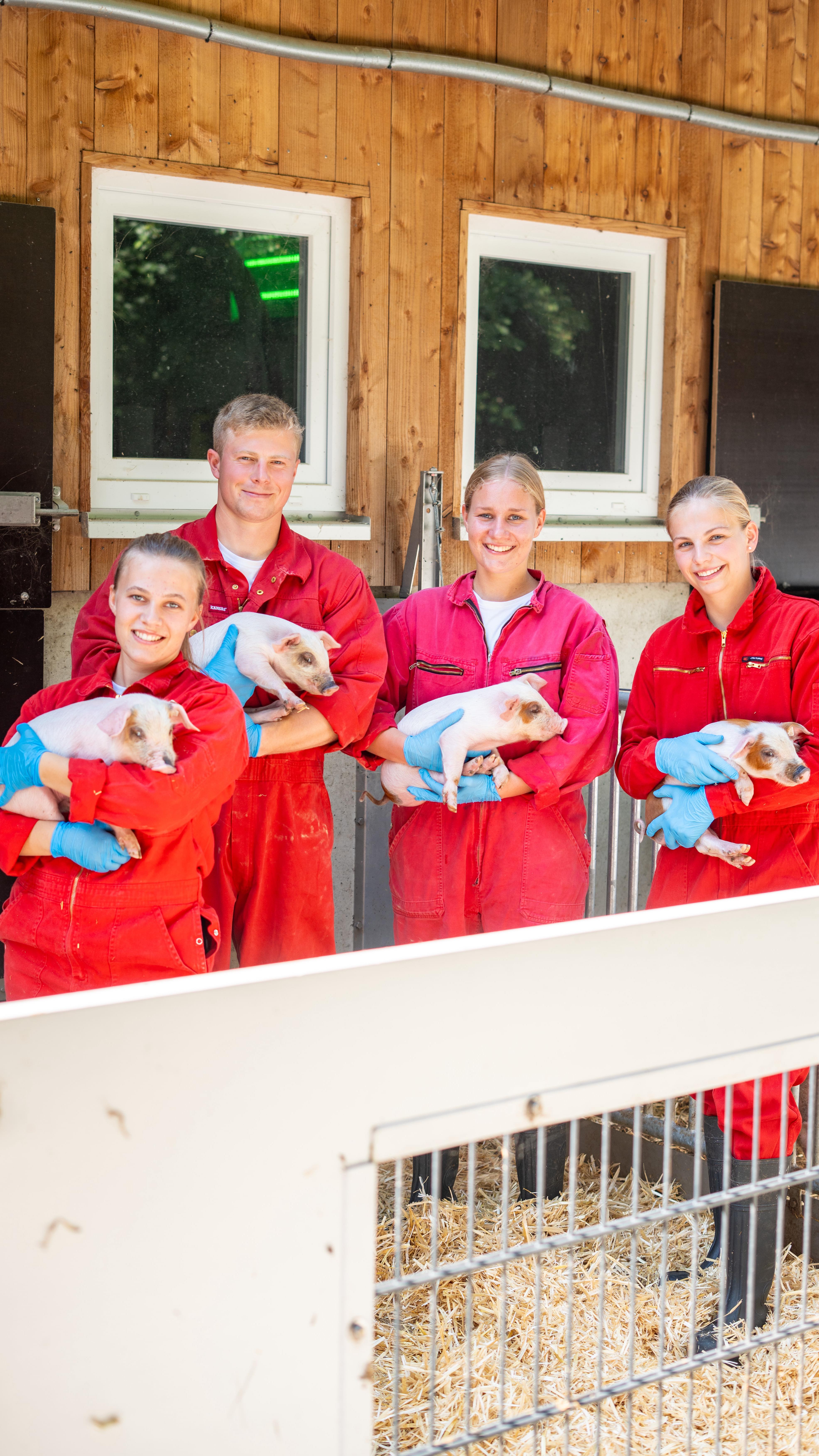 Erfolgreiche Premiere des PIG.FLUENCER.TREFFS! 🚜🐷
Über 50 junge Landwirt:innen aus NRW & Niedersachsen haben an zwei Terminen im August gezeigt: Hof-PR kann sau-cool sein! 📱
Mit praktischen Workshops, Tipps zu Foto & Video, Social Media & KI gab’s jede Menge Input für die digitale Öffentlichkeitsarbeit und wertvollen Austausch untereinander. 💬
#pigfluencer #landwirtschaft #hofpr #socialmedia