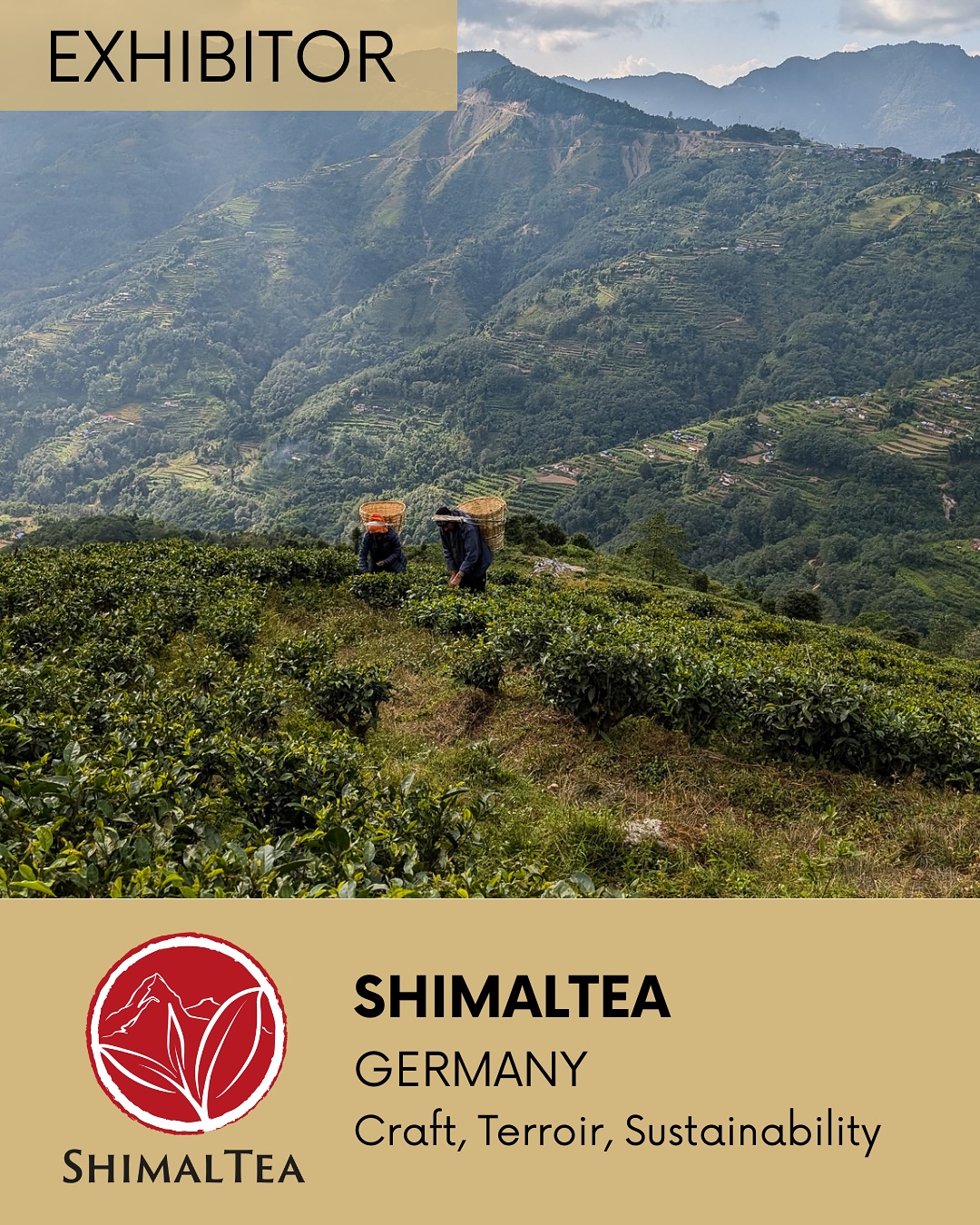 ✨ NEW EXHIBITOR – Shimal Tea ✨
📍 Germany
Craft – Terroir – Sustainability
Born from a deep passion for tea and craftsmanship, Shimal Tea brings a curated selection of artisan teas, sourced from small organic growers.
Their collection highlights handcrafted black teas from the high-mountain gardens of Nepal, India, Iran, and other emerging tea regions. Each limited batch carries the imprint of its terroir and the unique expertise of growers, often women, who dedicate their lives to tea.
A journey of flavors and human stories to discover at the Brussels Tea Festival®.
🔍 As in Magritte’s work, beauty lies in what reveals itself beyond appearances.
🗓️ September 28, 2025 – 10 am to 6 pm
🏛️ Flagey – Brussels
🎟️ Tickets available via link in bio
—
✨ NOUVEL EXPOSANT – Shimal Tea ✨
📍 Allemagne
Artisanat – Terroirs – Durabilité
Née d’une passion profonde pour le thé et son artisanat, Shimal Tea propose une sélection de thés d’exception, issus de petits producteurs biologiques et engagés.
Leur collection met en lumière des thés noirs artisanaux, récoltés dans les jardins de haute montagne du Népal, de l’Inde, de l’Iran et d’autres régions émergentes. Chaque lot, en quantité limitée, porte l’empreinte d’un terroir et d’un savoir-faire unique, souvent transmis par des femmes productrices.
Un voyage de saveurs et d’histoires humaines à découvrir au Brussels Tea Festival®.
🔍 Comme chez Magritte, la beauté réside dans ce qui se dévoile au-delà des apparences.
🗓️ 28 septembre 2025 – 10h à 18h
🏛️ Flagey – Bruxelles
🎟️ Billetterie en ligne via le lien en bio
#BrusselsTeaFestival #CeciNestPasUnFestival #EspritMagritte #BTF2025
#magrittespirit #BRUSSELSTEAFEST #brusselsteafestival®