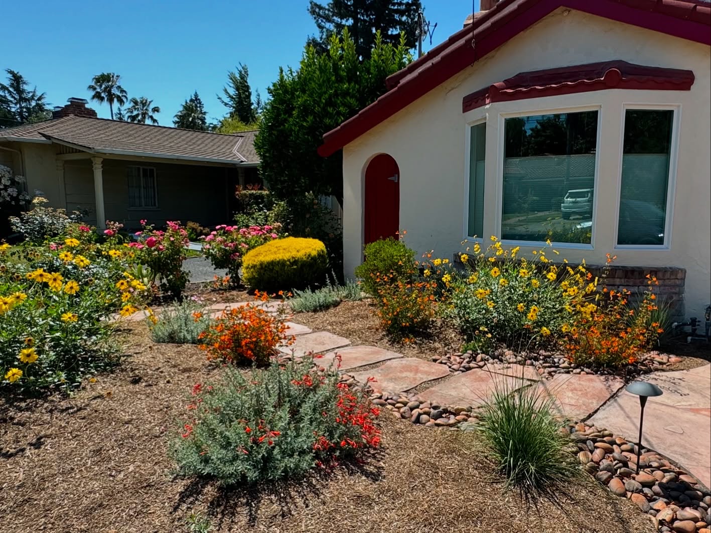 Photo taken in April. About four months post installation. I love the color pallet selected for this Spanish style home. The orange, yellow, and red, pair nicely, creating a dessert/ranch feeling.
.
.
.
#landscapedesigner #californialandscape #californianativeplants #lowwatergarden #lowmaintenance #bayarealandscapedesign #sustainablelandscaping #pollinatorgarden