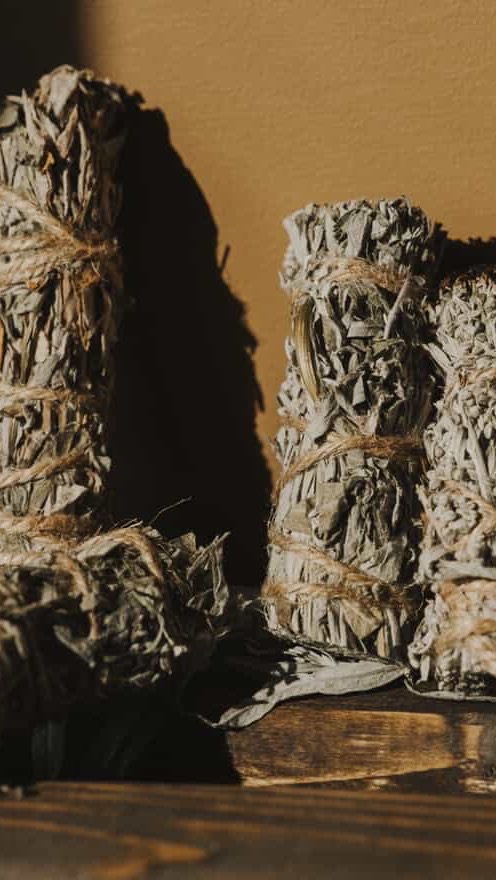 Sam has been busy out on her land, carefully harvesting sage 🌿✨ Each guest at the retreat will be gifted one of these beautiful, freshly picked sage sticks in their goodie bag.
It’s such a heartfelt touch she’s bringing to the day — sage carries the energy of cleansing, renewal, and connection to the earth. Limited quantities are available, so it feels extra special to know each stick is straight from her own property. 💚