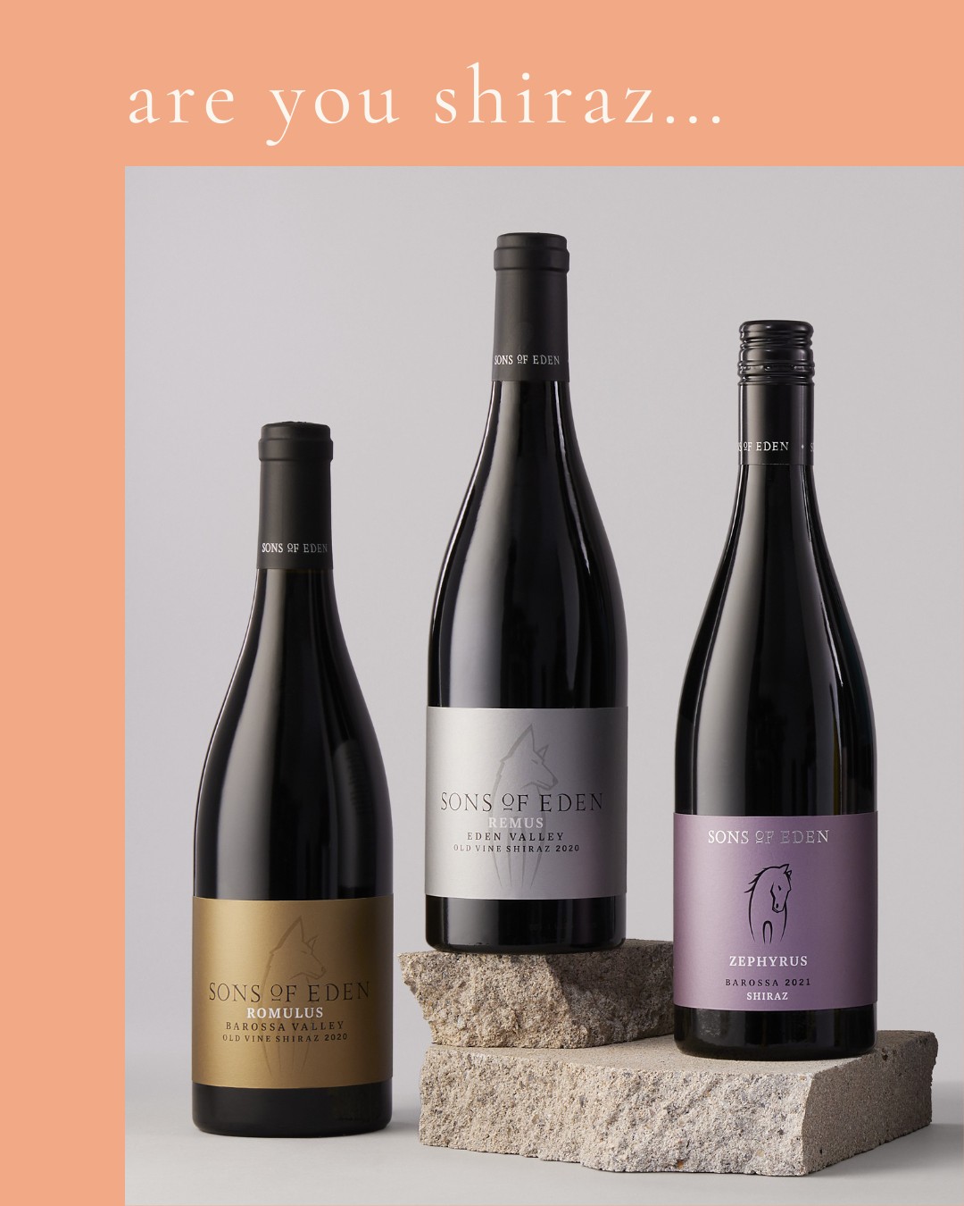 Are you more Shiraz or Syrah? Same grape, two personalities.â
â
@sonsofeden @lesgrandschaisdefrance
#NZWineLovers #WinesOfInstagram #InMyGlass #winetalk #WineLifeNZ #WineOClockNZ #ShirazvsSyrah