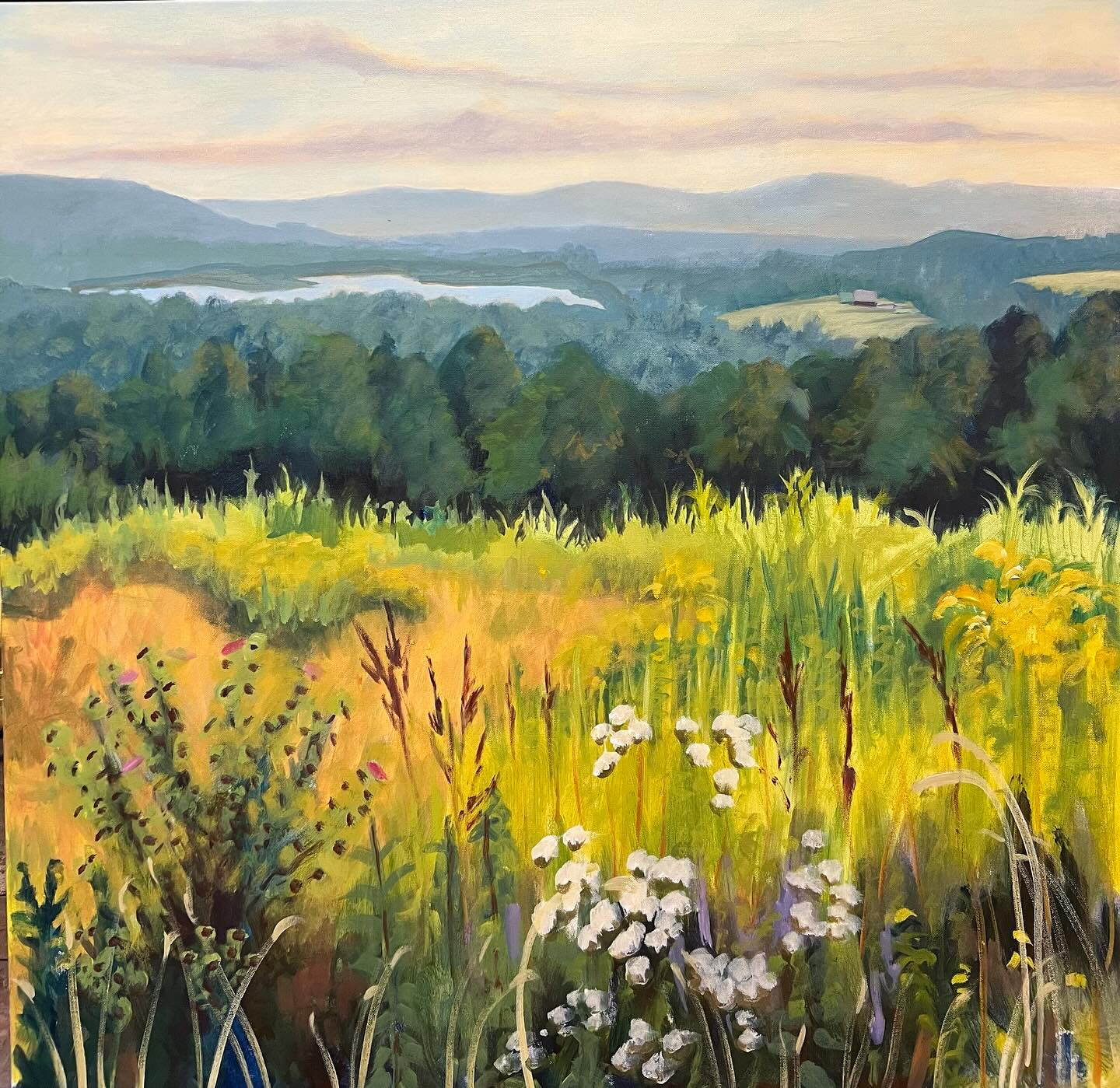 Finally mental and physical space for a big canvas…A favorite overlook with a wild native garden. Ahhhhh