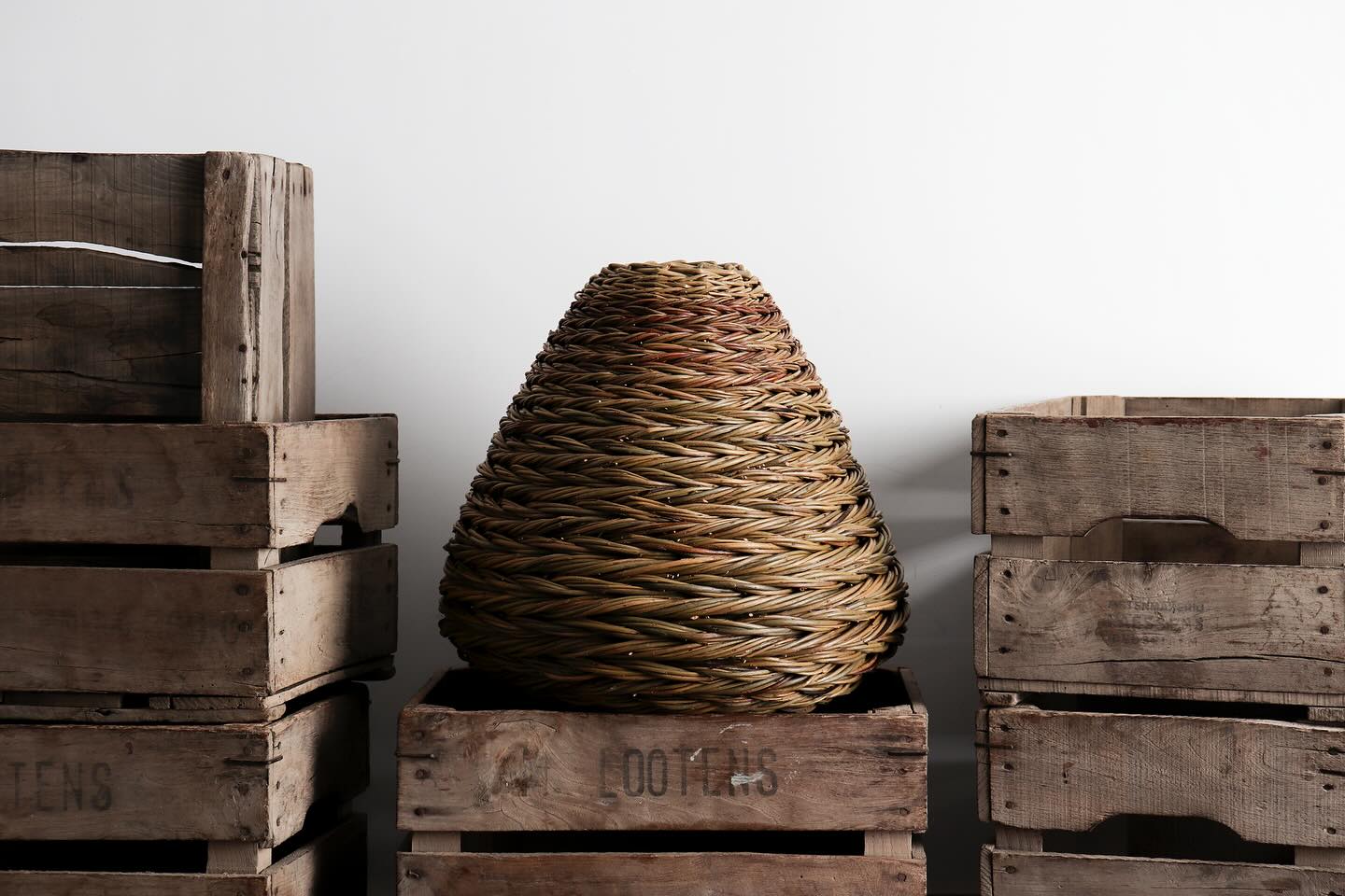 In many ways, this piece is a reflection of my surroundings - in one of the outbuildings next to my workshop, wasps began building a nest back in May/june whilst I began work on a series of sculptural pieces.
Watching them work, I couldn’t help but think about the similarities between us; that creating my sculptural woven forms, much like nest building, is all about the act of connection jbetween maker and object, and it is about layering of materials. Unlike some forms of sculpture that involve removing materials to reveal what lies beneath, the process of weaving is of connecting - intertwining individual pieces to make something that is greater than the sum of its parts.
After much observation of the wasps at work (from a distance), it is no wonder this piece developed during my final day of weaving this series - an unplanned form inspired by nature.
Sarah 🌿