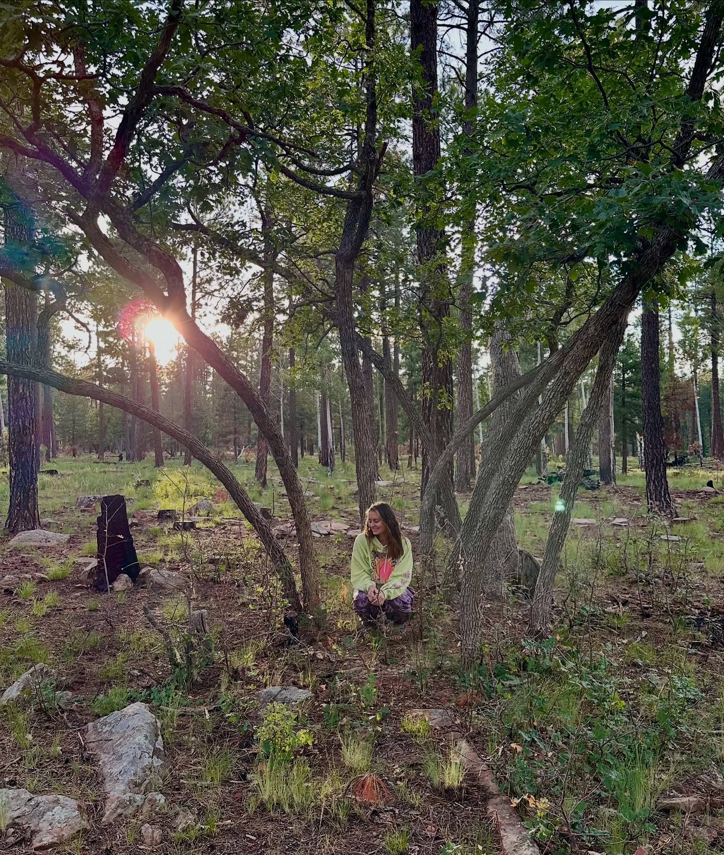 so much magic can happen when you let things flow
it is helpful to finally feel comfortable knowing what creative supplies to bring with me on adventures
~ in a way where it is paired down and simplified
~ easy for travel and hiking around
~ making creative expression accessible as i feel called
i have always been drawn to creating with many mediums and i’m in a place where i am choosing to allow and embrace that
when im away from studio and all of my supplies, i do my best to visualize what i might want to use
those choices went incredibly well this trip and i flowed through lots of journaling and drawing sessions 🏕️🌲🧚
Oh! Also, sharing creative space with friends is even more magical and special !! fills my heart 🥺❤️
making art in nature is one of my happiest spaces to be in
where do you find you are most creative? what inspires you the most?
thanks for being here!!<3
#natureart #naturejournaling