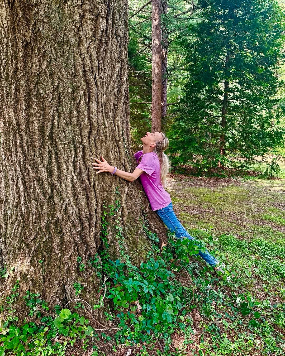 Arenโt trees amazing?!
They have the power to help ground you and uplift you at the same time! Tree hugging is feel-good energy medicine ๐ณ๐ค
#PlantingFieldsArboretum #NatureHeals #Awe #Wonder #Earthing #EarthLover #MindBodySpirt โจ