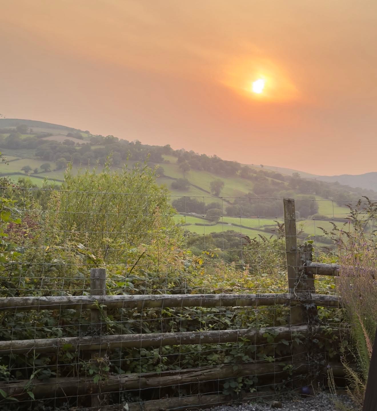 Sundowner in Cilycwm.
#beautifulsunset
#rurallove
#paintyourheartout