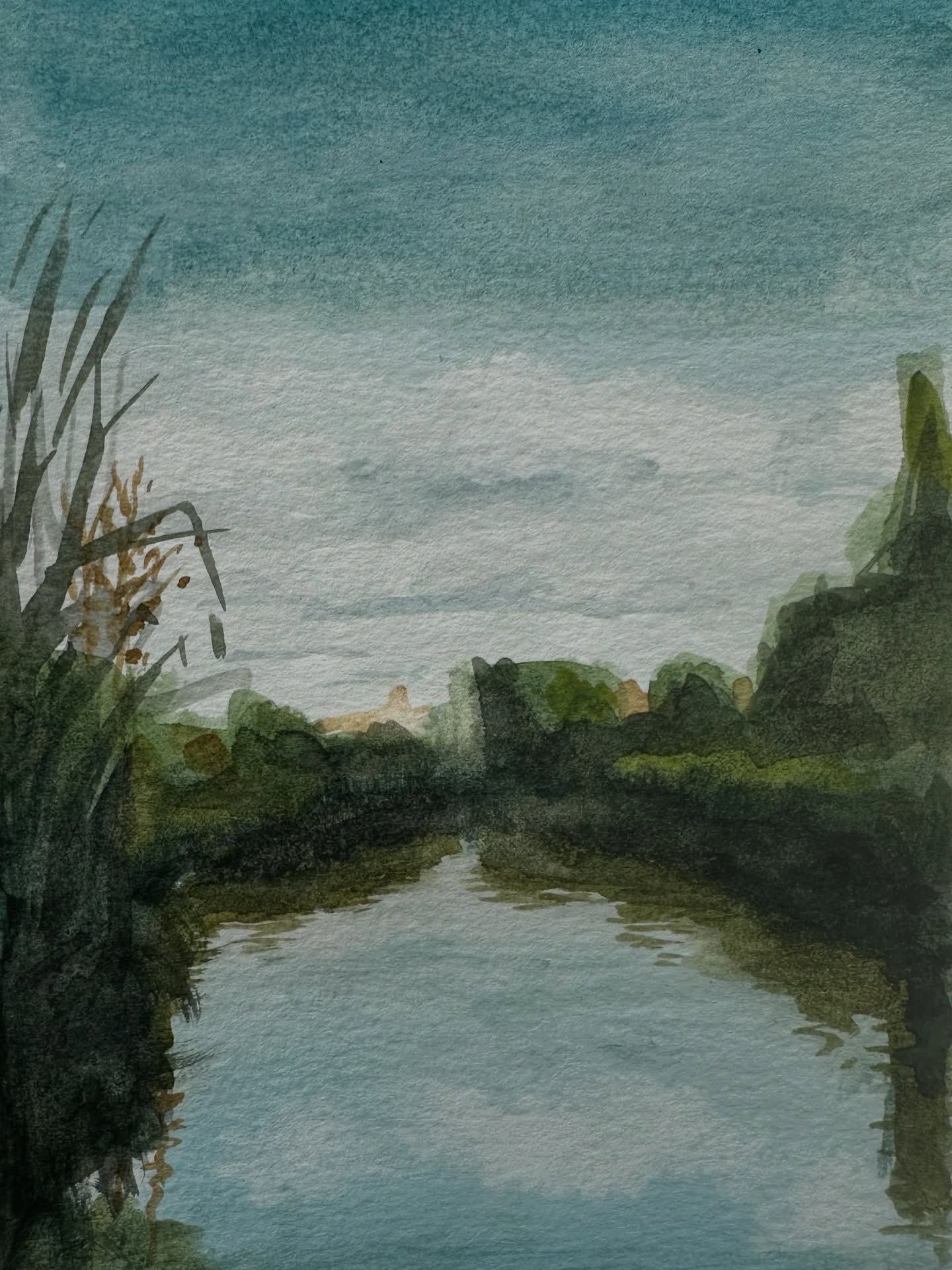 A small, more realistic watercolour of the ‘buisjes’ in the Biesbosch. I focused on capturing the reflections in the water and the soft light on the reeds, whilst staying away from too much detail. Always a peaceful place to return to — both in nature and on paper 🌱
Watercolour on paper – 15 × 20 cm
#watercolourlandscape #biesbosch #dutchnature #contemporarywatercolour #quietart #natureinspired #landschapschilderij #smallpainting