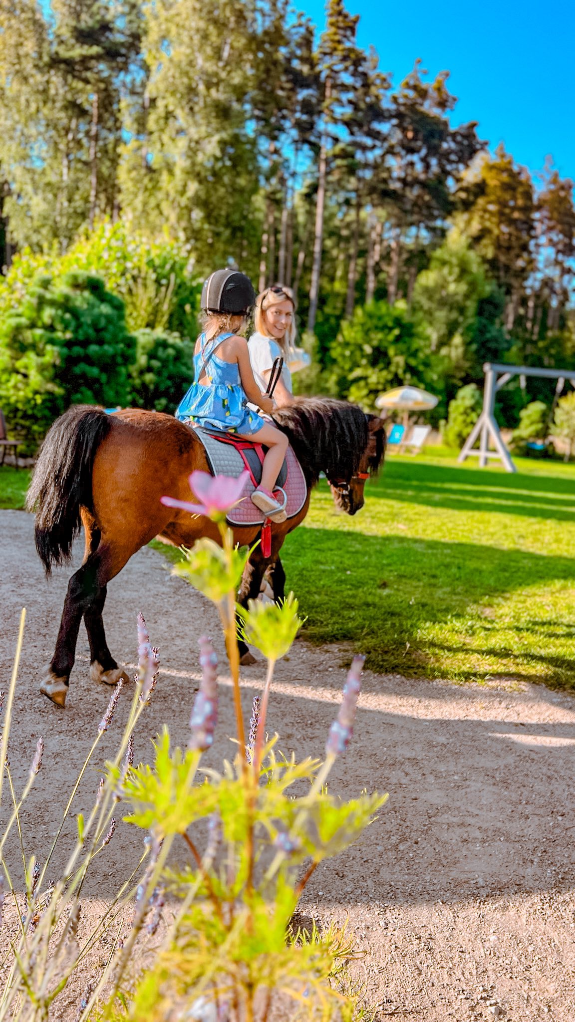 🔊 posłuchaj jak brzmi nasze ulubione miejsce - @minigolfkaszuby - to właśnie te dźwięki tworzą naszą codzienność i czynią to miejsce wyjątkowym 🫶🏻
➡️ wpadnijcie do nas jeszcze w te wakacje! czekamy na Was CODZIENNIE od 10:00 do 19:00 - nie wymagamy rezerwacji - swojego czworonoga możesz zabrać ze sobą 🦮
✅ @minigolfkaszuby
ul. Górna 47, Zgorzałe (k. Stężycy)
#atrakcjedlacałejrodziny #atrakcjedladzieci #rodzinnie #rodzinnyczas #wakacje2025 #minigolf #minigolfkaszuby #gdzienaweekend #atrakcjekaszuby #kaszuby #kreatywniezdziećmi #kreatywniezdzieckiem #kaszuby❤️ #parkrozrywki #sielskiparkrozrywki #slowlife #slowmoments #soundsofnature #dźwiękinatury