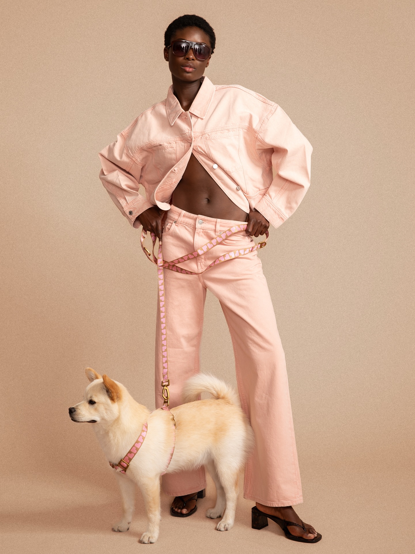 You can’t sit with us.. 🦮 @jacquipipa for @dogguo.thebrand