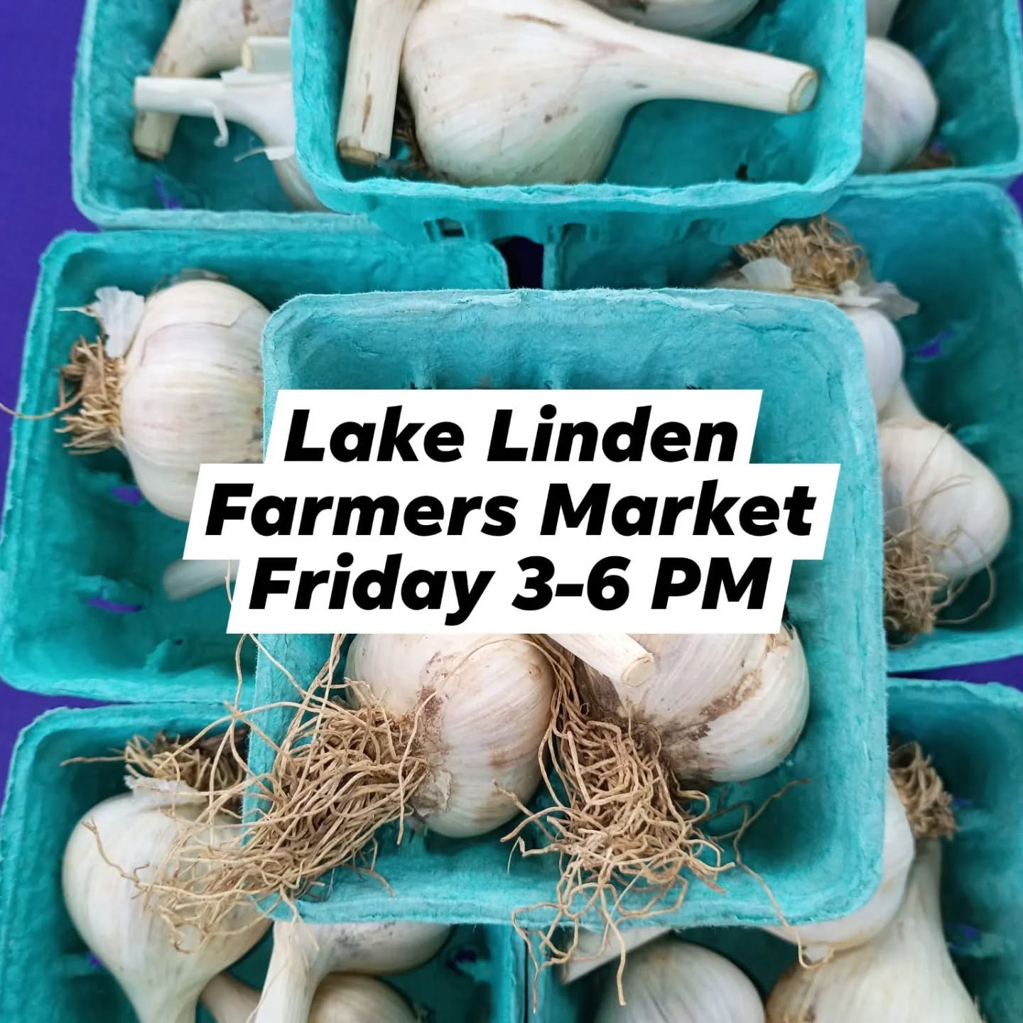 🧺 Lake Linden Farmers Market
Join us Friday from 3–6 PM in the Lake Linden Village Park!
Fresh produce, local goods, and friendly faces—come support your community and enjoy the afternoon.
See you there! 🌞