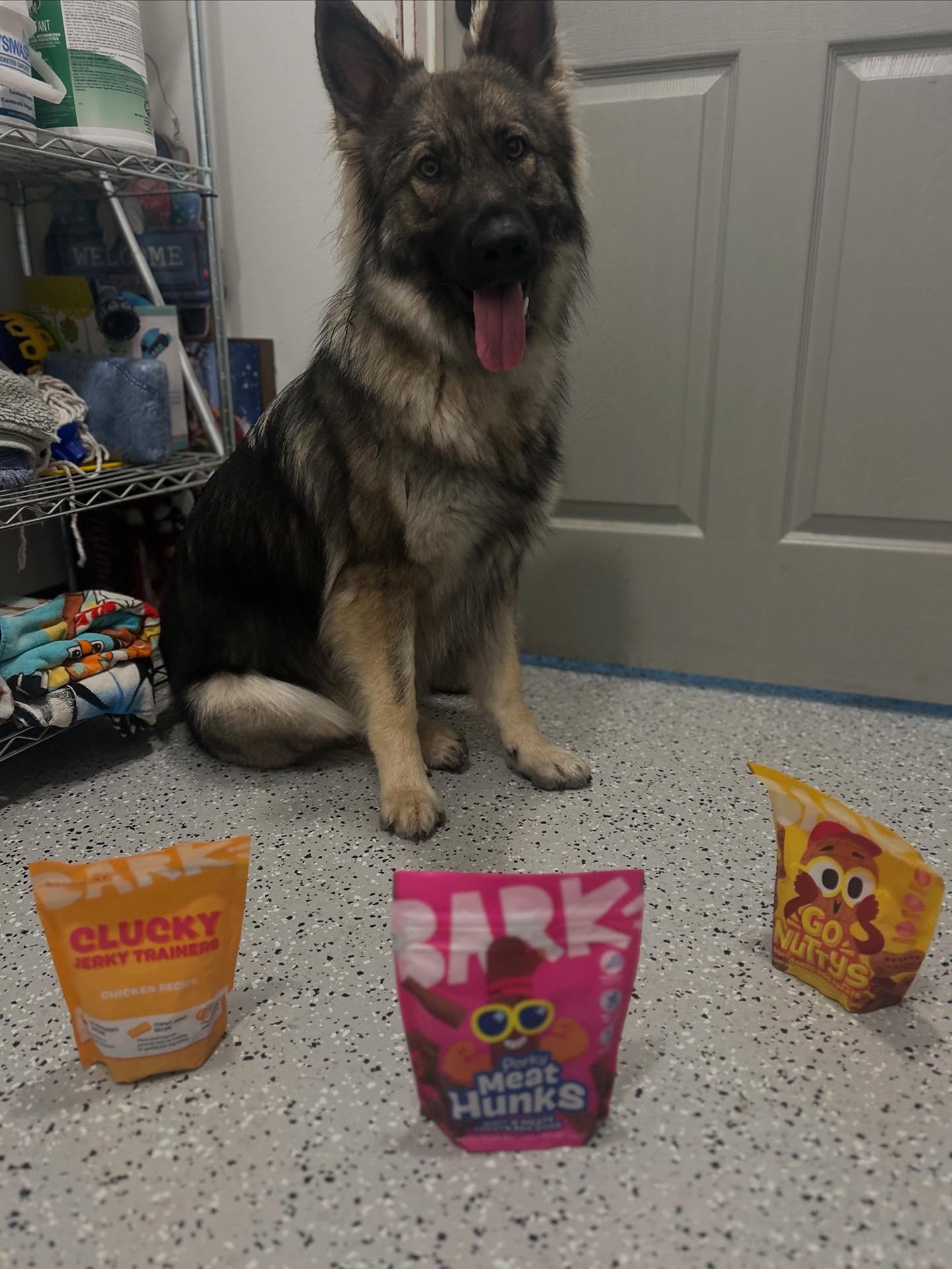 In honor of national dog day, we are celebrating with treats from one of our daycare friends! Thank you Olive ❤️