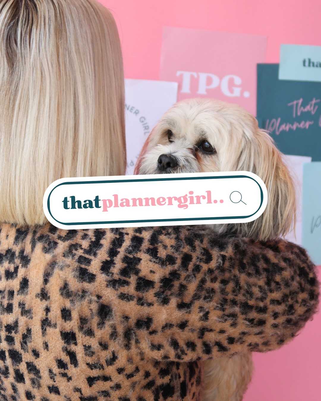 A few months ago @tpg_paagency approached us feeling disconnected from her brand. She wanted our help to re-align herself and re-position her brand to one that stood out from the rest! ✨
We worked with Michaela to build a brand identity that was approachable, feminine & fun! Helping to shape her brand perception as someone you trust.
This project included strategy development, creative direction, logo creation, custom brand stickers & more!
These brand images were captured by the amazing @elevatedsocials_ltd and her team! Really helping to bring the @tpg_paagency brand to life!
Want to work with us? We’re taking on new clients. Send us a DM! 🧬🧪
#brandidentitydesign #branddesigner #brandingspecialist