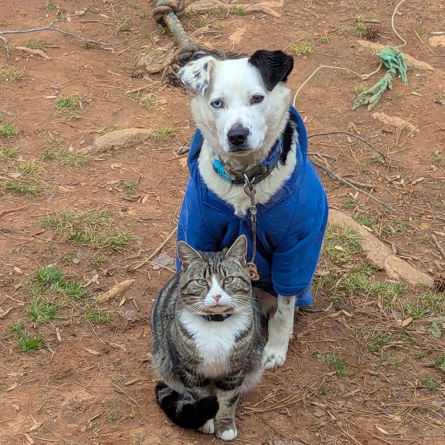 What's with the looks... Attitude