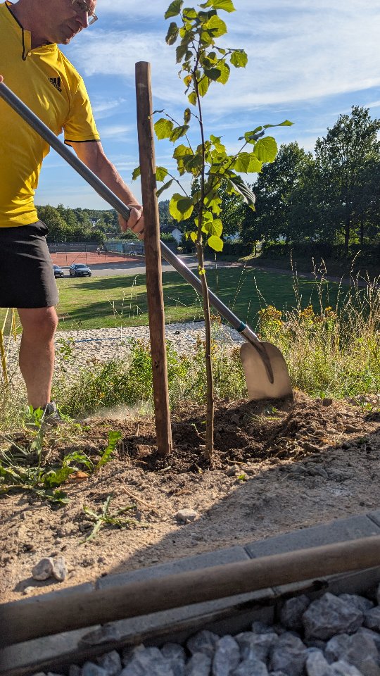 Wir als Turnverein Littfeld haben die Challenge angenommen 😉 Wir wurden von unserer @feuerwehr.littfeld nominiert und nehmen es auch gerne an. Wir haben gestern einen neuen Baum gepflanzt und nominieren jetzt unseren Heimatverein Littfeld sowie den Traditionsverein Turnfest 👍☺️ Ihr habt jetzt 72 Stunden Zeit einen Baum zu pflanzen, let's go!