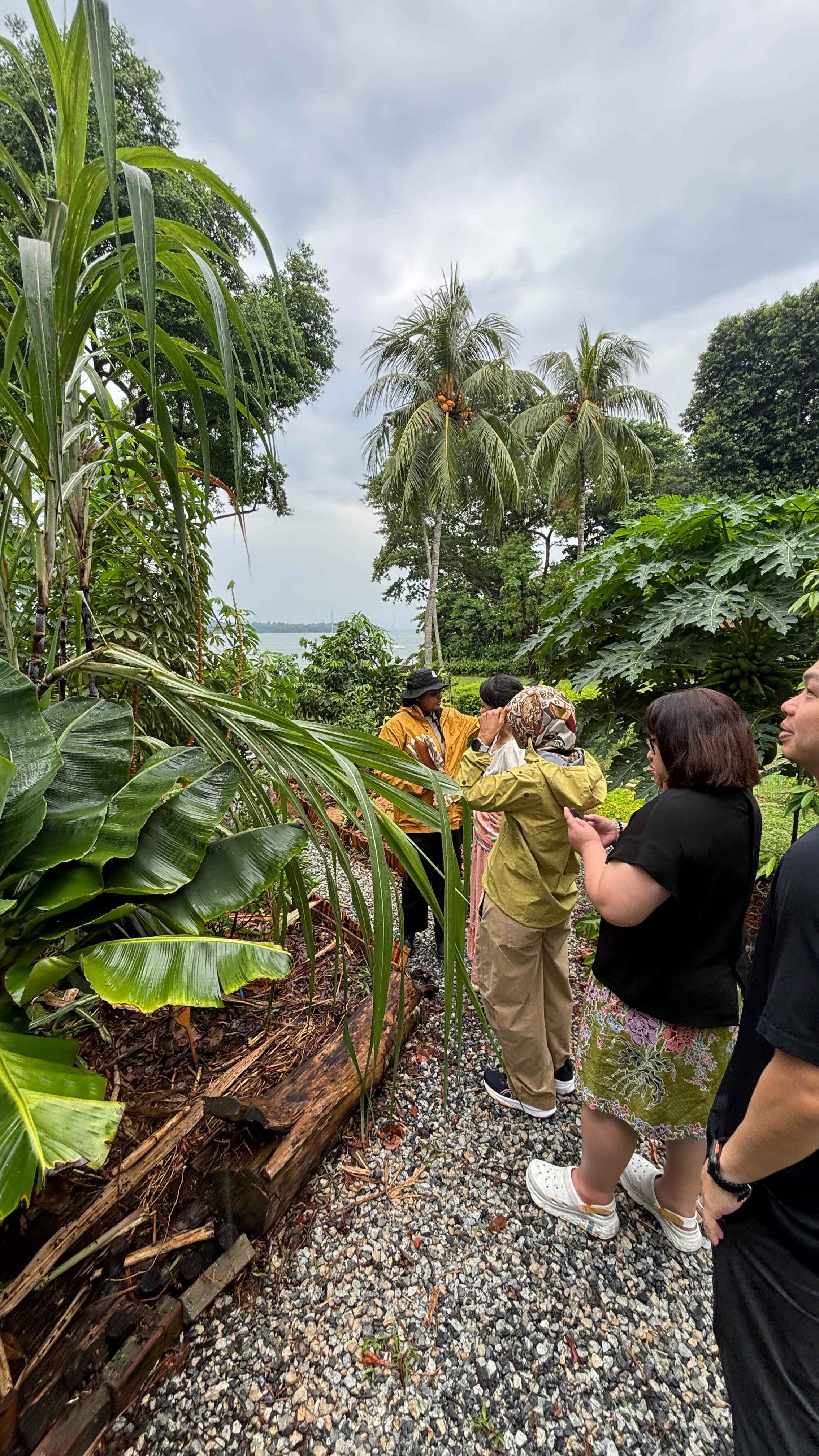 ✅Another successful sustainability festival DONE! Multiple booths these festivals are a great way to introduce the various facets of sustainability! Engage with colleagues for staff retreat, school learning journey and more! Here at @house.of.melissa