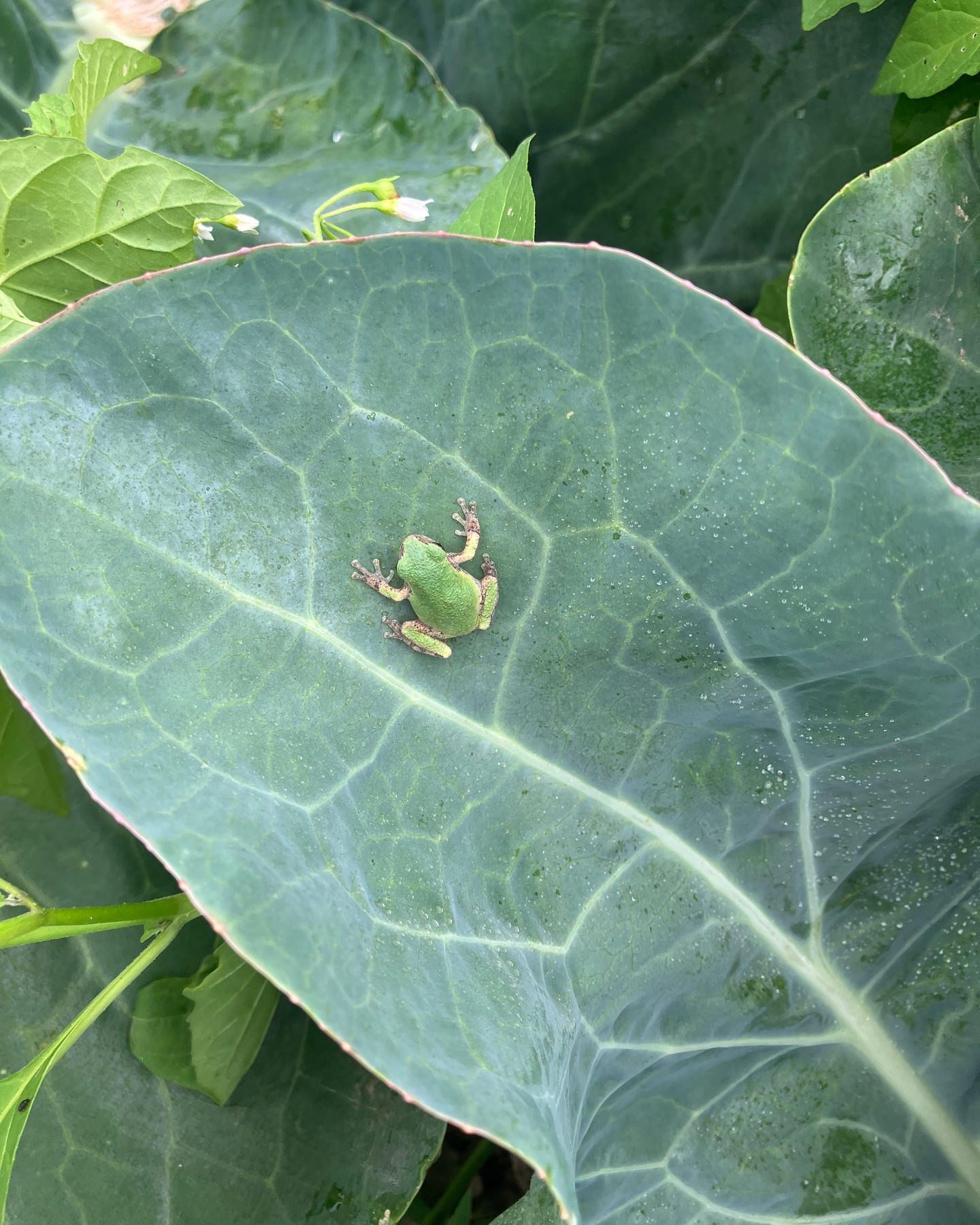 Smooth sailing from here. Read the latest newsletter--link in BIO!