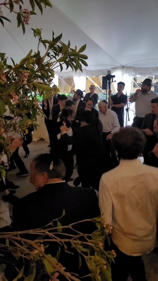 Experience the hora and happy moments in this video 💃 🕺 #jewishwedding #Jewishdj