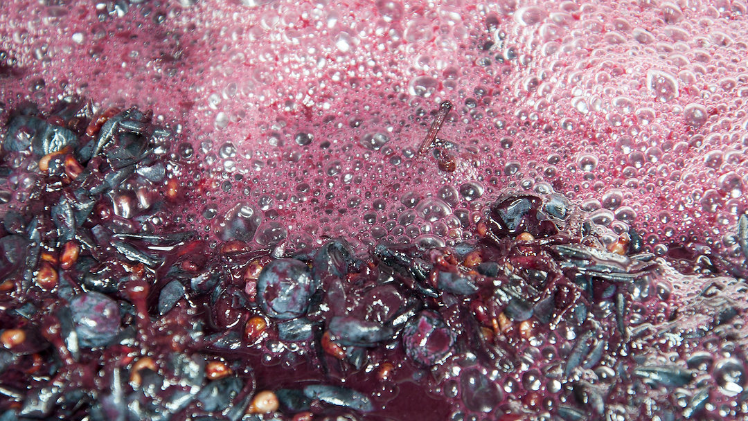 🍇 Scegliere il lievito giusto è la chiave per un vino di qualità! Scopri come nella nostra ultima guida, Link in Bio. #vino #vinificazione #lieviti #EnoAdvance