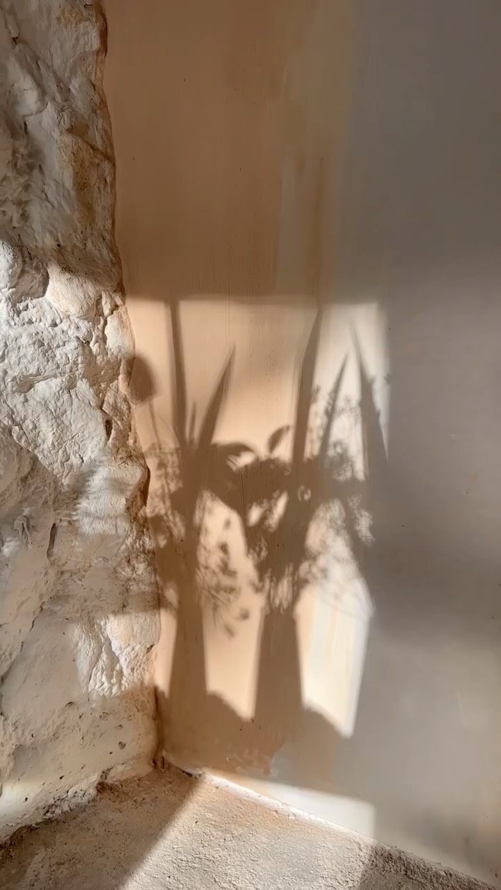 A few posies for a little celebration this weekend. (Planning ahead to make sure some of them don’t wilt!)
These flowers are from my Mum & Dad’s garden, I will also gladly use for some studio aesthetics. Once I get going with some pieces I will be buying from some of our amazing local florists 💐
Bringing flowers indoors is one of the simplest ways to lift a space—and a spirit 🤩 a reminder that life is still blooming, even when days feel still or heavy.
Certainly a little lift whilst I’m facing some twists and turns working on this space 😍
#furnituremakeover #furnituredesign #furniture #furnitureflip #paintedfurniture #homedecor #interiordesign #upcycledfurniture #furnitureartist #diy #chalkpaint #refinishedfurniture #vintagefurniture #furniturerestoration #furnituremaker #chalkpaintedfurniture #interior #vintage #upcycle #decor #refurbishedfurniture #furnitureonline #design #furniturepainter #sustainablelifestyle