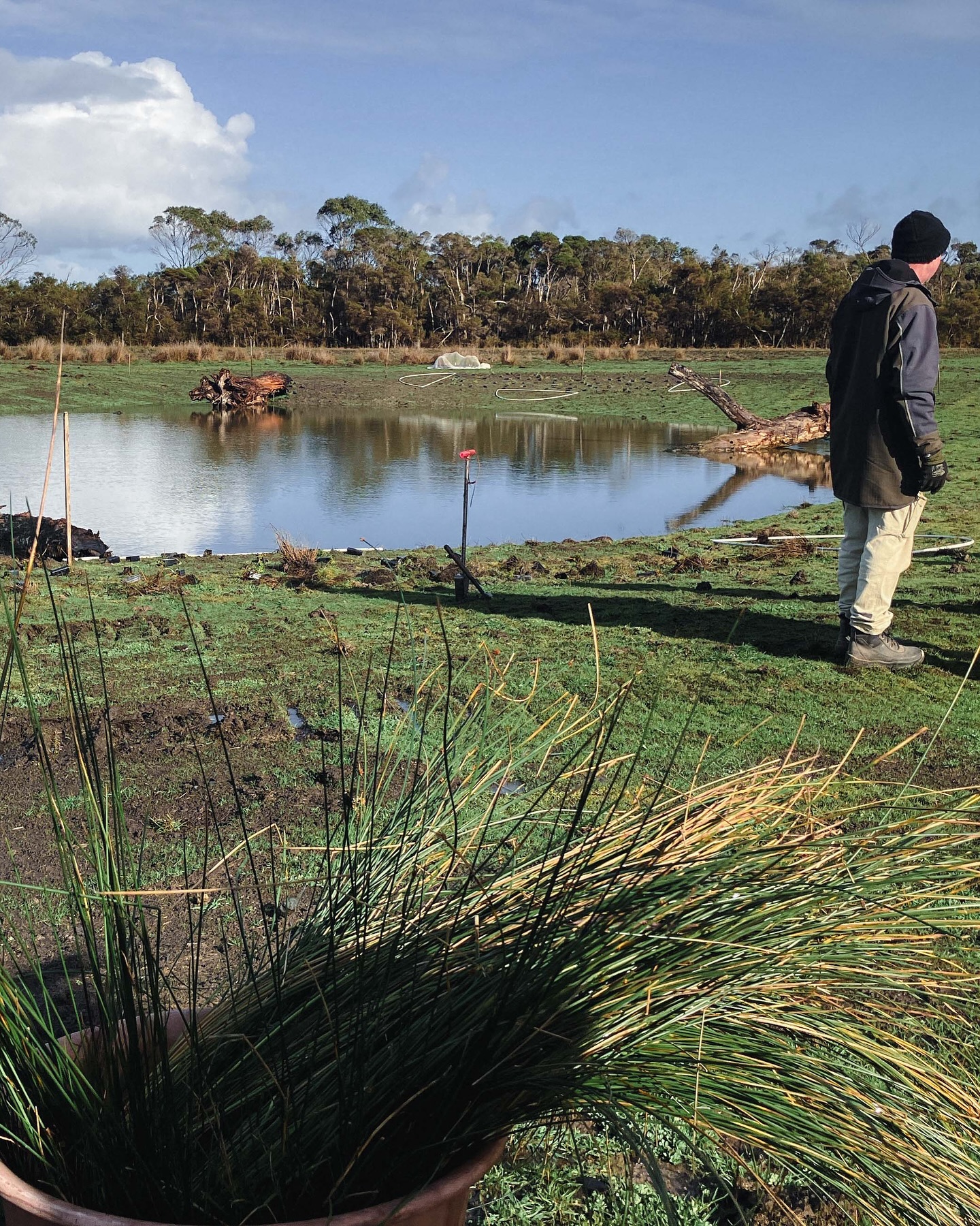 Frog Bog! 🌱🐸
Love the sound of South Gippsland frogs? Here’s your chance to help create more wetland habitat for them. Join us in Inverloch on Saturday 30th August, 9:30–11:30am for a community planting event.
The planting will take place on private property (of a PCEL member!) beside the new Inland Shared Pathway, the walking and cycling track currently being built to connect Wonthaggi and Inverloch. There was a fantastic planting day here last weekend (see photos ☀️!) and now we’re inviting you to be part of stage two.
Expect muddy hands, lots of laughs, and the chance to give back to nature. Plus, morning tea is provided and rumour has it Marj makes a brilliant billy tea!
This event is hosted by our friends at Gippsland Threatened Species Action Group and Anderson Inlet Landcare Group.
📍 Find out more and book here:
events.humanitix.com/wetland-planting-day-near-inverloch
#southgippsland #biodiversity #froghabitat #inverloch #basscoastlandcarenetwork #southgippslandlandcarenetwork #andersoninlet #biolinks #wildlifehabitat #billytea #southgippslandnature #basscoast #promcoast #destinationgippsland #visitvictoria #basscoastshire #gippslandthreatenedspeciesactiongroup #andersoninletlandcare