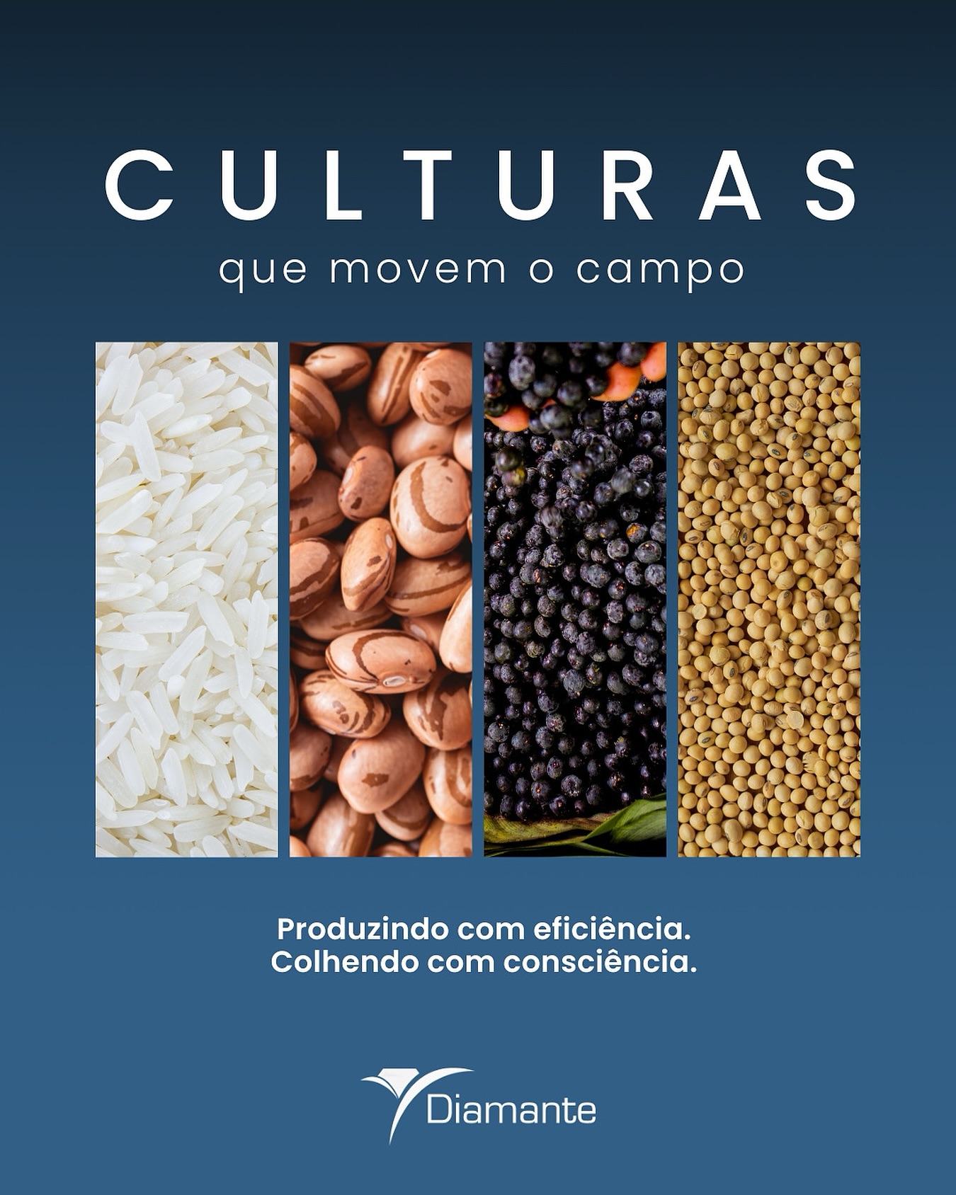 Culturas que movem o campo.
Produzindo com eficiência, colhendo com consciência.
#diamanteagricola #agro #campo #soja #arroz #feijão #açai