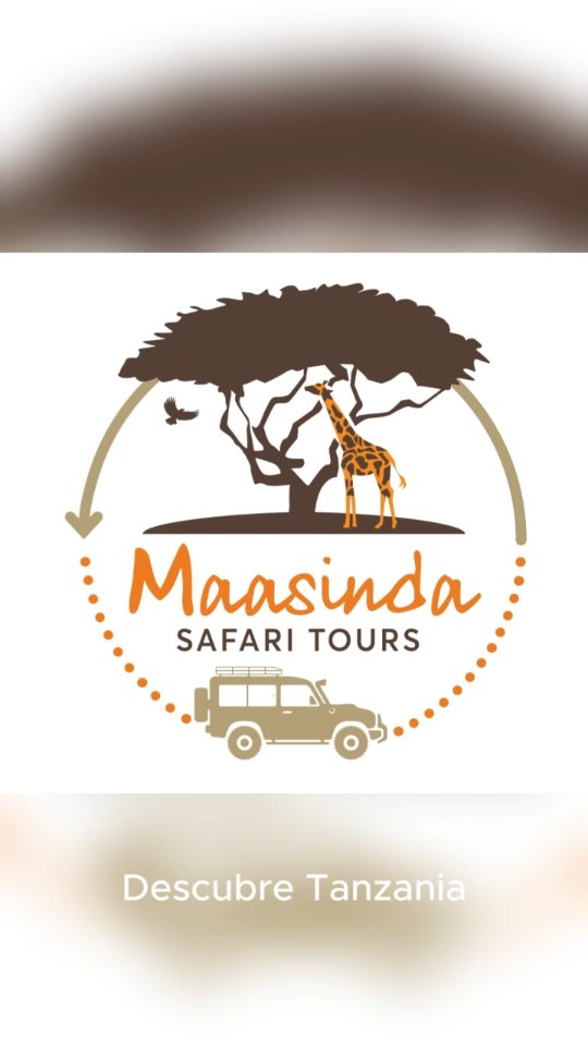 ✨ En el corazón de África, Tanzania te regala un espectáculo único 🌍🐘.
Desde la Gran Migración del Serengeti 🦓🦒 hasta el paraíso del Cráter Ngorongoro 🦏🦁.
Explora Tarangire con sus baobabs gigantes 🌳 y Manyara con flamencos rosados y leones trepadores 🦩🐅.
Y si miras más alto… el majestuoso Kilimanjaro te espera 🏔️.
Tanzania no es solo un destino, es una experiencia que transforma 💛.
Vive la magia. Siente la naturaleza. Descubre Tanzania. ✨
#SafariTanzania #DiscoverTanzania #TravelAfrica #SafariLife