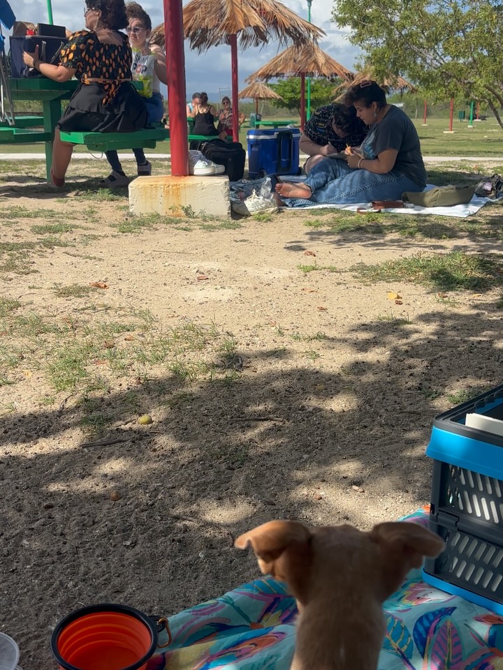 ✨🎨 ¡Qué día tan especial vivimos en nuestro primer evento de Peguemos el Arte!
Gracias a cada persona que se acercó, pintó, compartió y llenó de color esta primera experiencia. 💕
Ver cómo el arte unió a gente de todas las edades y cómo la creatividad se contagió fue simplemente mágico. Este es solo el comienzo de algo hermoso en el sur de Puerto Rico 🌞🌊.
Nos fuimos con el corazón lleno y muchas ganas de repetirlo 💖.
¡Hasta la próxima edición de Peguemos el Arte!