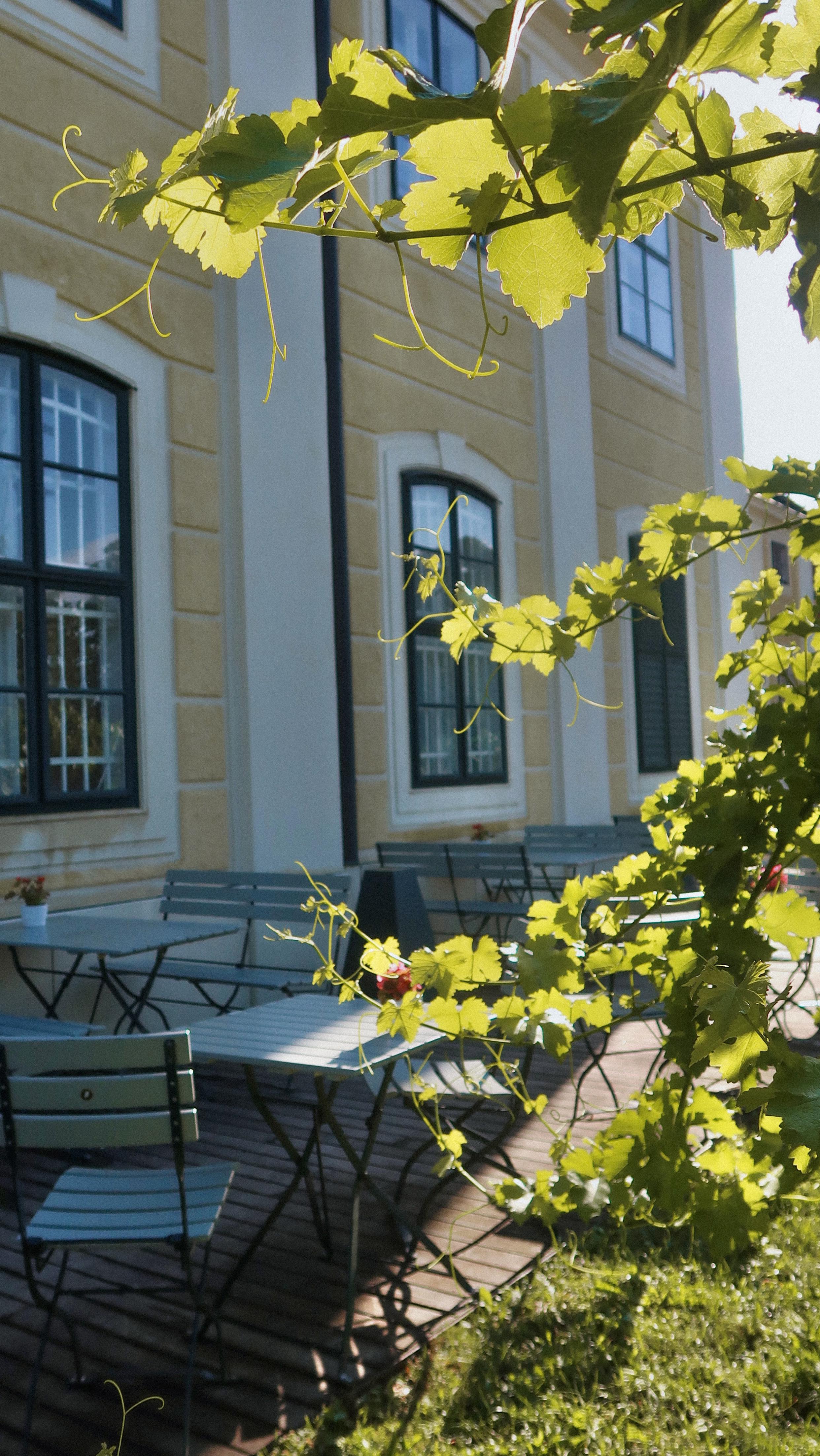 Zwiebel schneiden ohne Tränen? Ja, das geht – Andi zeigt es euch! 😉
#SchlossSchönbrunn #Vienna #VisitVienna #VisitSchlossSchönbrunn
#Joseph2 #WienGenießen #Restaurant #RestaurantWien #Wien #Vienna #FoodGuideVienna #Foodguide #WienerKüche #visitVienna #SHIGroup #Wein #WienerWein #ZahelWein #LokaleWien