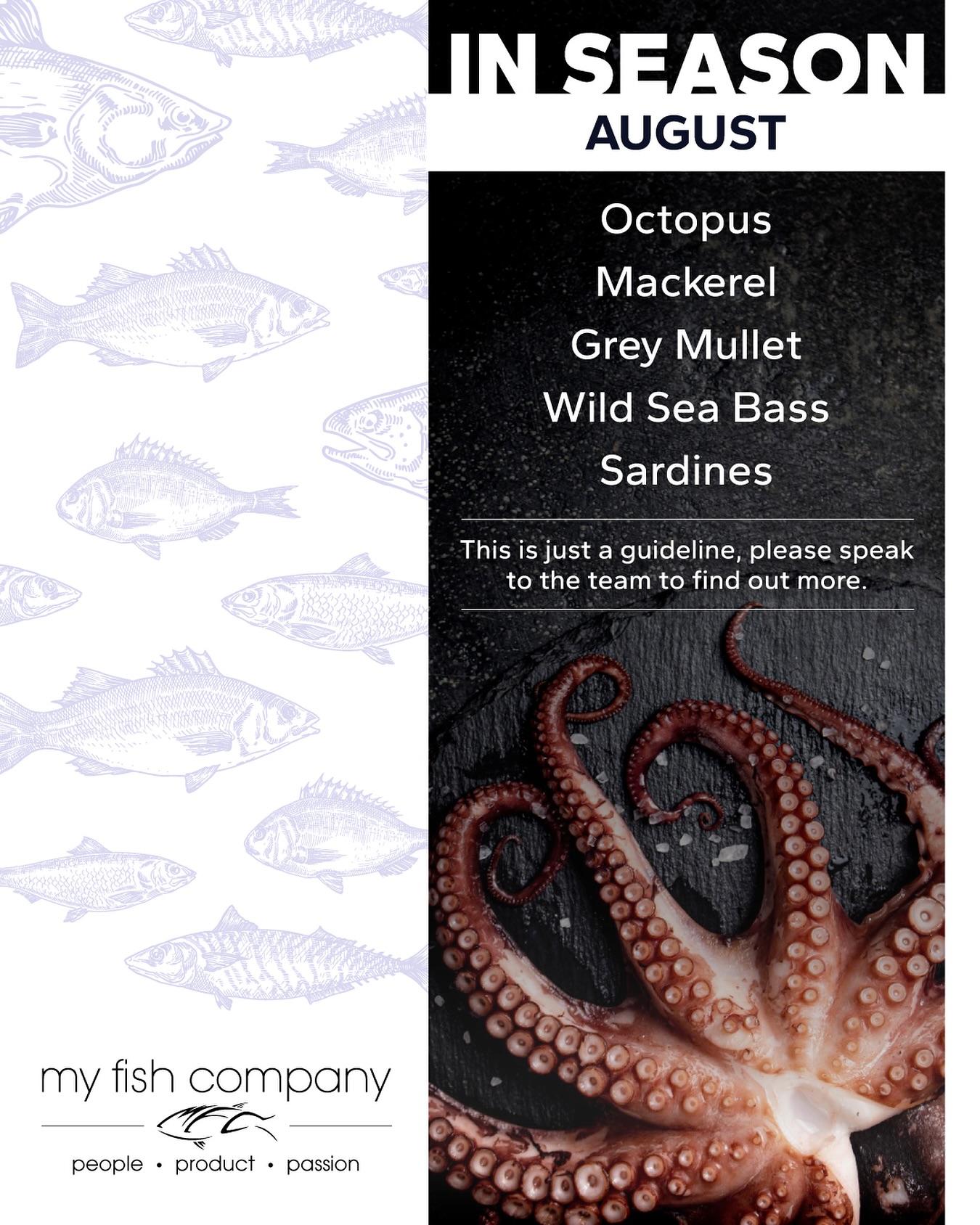 Whatâs Fresh & Fantastic This Season? Letâs Talk Seasonal Fish for August!
As the summer sun shines bright, so does our selection of incredible seasonal fish. This August, weâre celebrating some absolute gems from British waters, and theyâre simply at their peak.
â
Octopus: A real treat for August! With its rich flavour and firm texture, itâs brilliant slow-cooked until tender, then finished on the grill for a smoky char.
â
Mackerel: A true taste of the sea! This oily fish is packed with Omega-3s and offers a rich, distinct flavour thatâs incredible when grilled whole with a squeeze of lemon.
â
Grey Mullet: A fantastic and underrated choice. With a sweet, nutty flavour and firm, meaty texture, grey mullet holds up beautifully to pan-frying or baking in a parcel.
â
Wild Sea Bass: A classic for a reason. Known for its delicate flavour and firm, flaky flesh, wild sea bass is incredibly versatile and shines when roasted whole or pan-fried with herbs.
â
Sardines: Fresh, flavourful, and fantastic on the grill, these little powerhouses are perfect for a light summer starter or main.
Choosing seasonal fish means youâre getting the best quality and flavour, often at their most abundant.
Ready to get your hands on these incredible catches? Get in touch with your Account Manager or call the office to find out more.
Note â all products are subject to availability, after all they are wild!
#MyFishCompany #SeasonalFish #FreshFish #Sardines #Octopus #WildSeaBass #Mackerel #GreyMullet #SustainableSeafood #SupportBritishFishing #WhatsOnYourPlate #SeafoodLover #Fishmonger #CatchOfTheDay