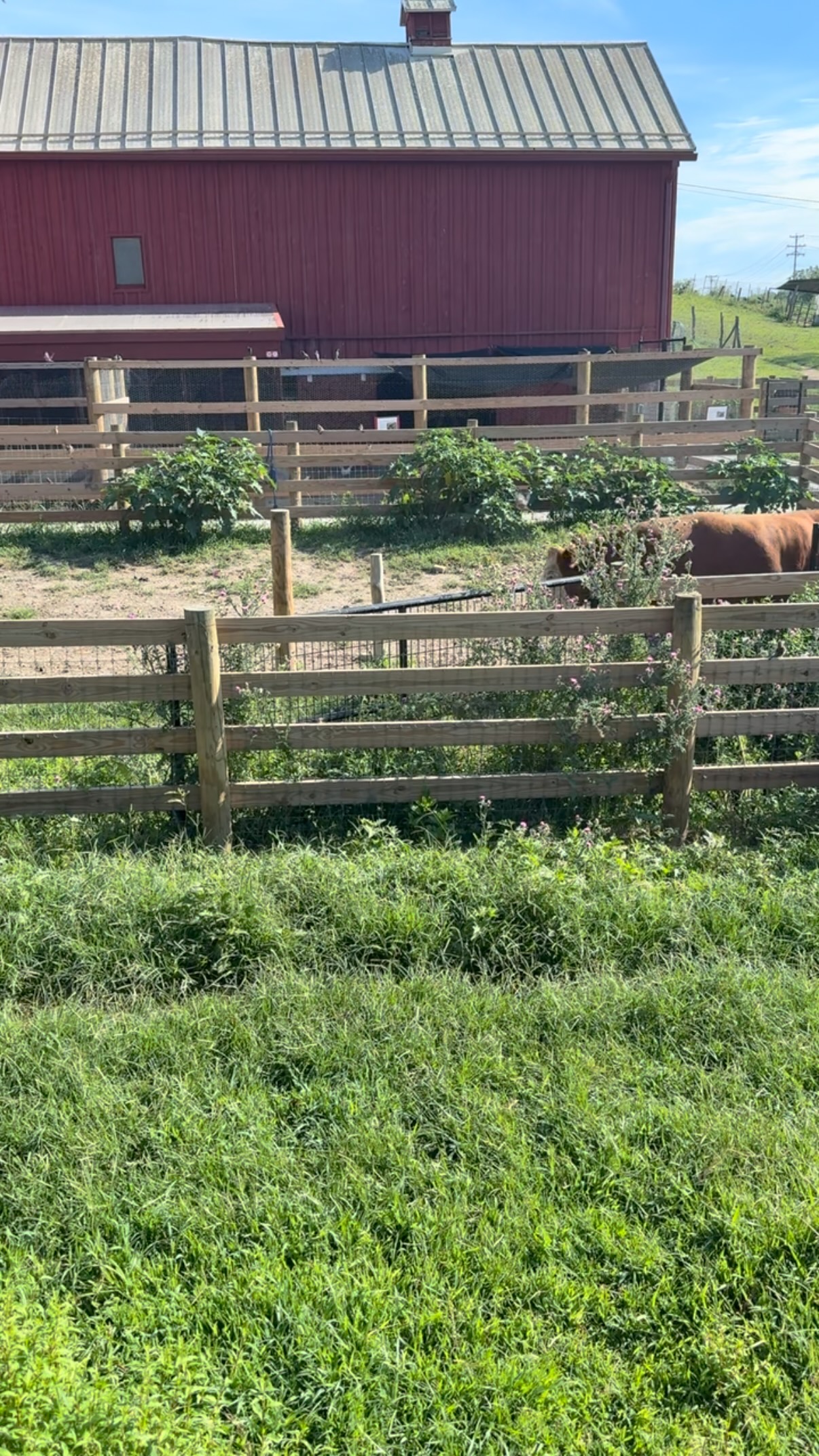 View from my office today 😍