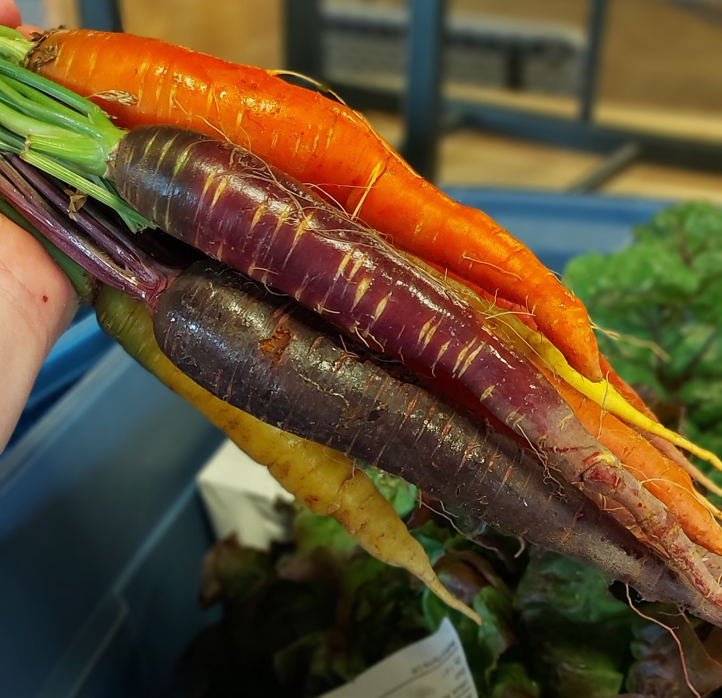 Order your rainbow carrots from @longspellpointfarm and more NOW!!â
â
â
#wolfvillefarmersmarket #wolfville #annapolisvalley #novascotia #farmersmarket #wfm2go #shoplocal #eatlocal #buylocal #supportlocal #freshproduce #community #letsdothis