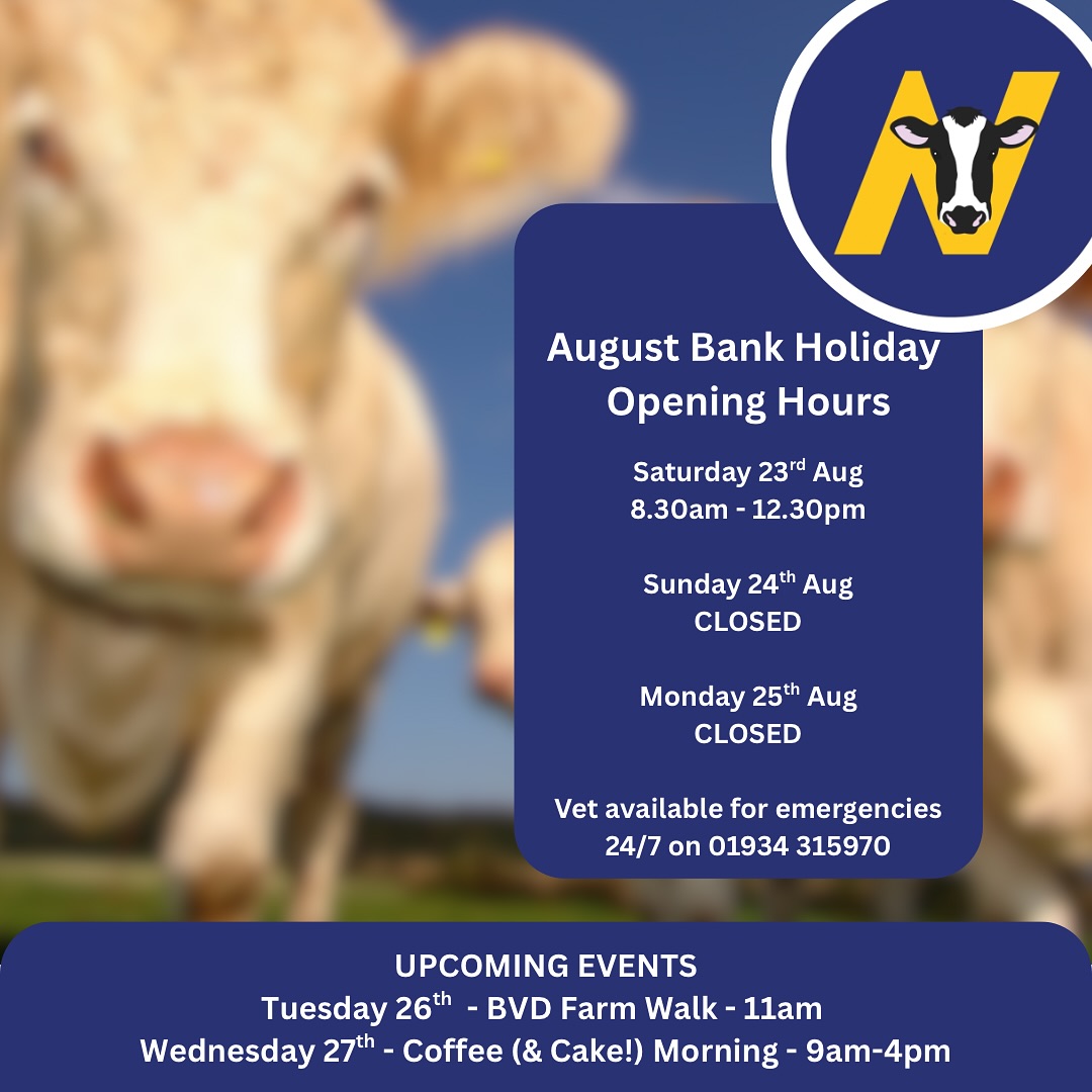 Don’t forget Monday is a Bank Holiday, so our office will be closed! As always, vets are available for emergencies 24/7 on the usual office number ☀️
We’ve a couple of exciting events upcoming straight after the bank holiday so keep your eyes peeled for more information on this!