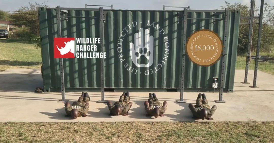 ✅ Push-up challenge complete!
Team Loisaba crushed the fitness test—and here’s why it matters: these same rangers are on the frontlines every day protecting Kenya’s wildlife.
🔥 Now we need your support to reach our $5,000 goal.
🔗 Donate today: https://wildlife.rangerchallenge.org/campaigns/Loisaba-Conservancy (link in bio)
#WildlifeRangerChallenge #ForWildlifeRangers #LoisabaConservancy #LandConnectedLifeProtected #FrontlineConservation #RangersLeadTheWay #RhinoProtection #ProtectWildlife #TuskTrust #ConservationInAction #SupportOurRangers #TrainLikeARanger #LaikipiaConservation #SupportOurRangers @tusk_org @lionlandscapes @gamerangersassociationofafrica