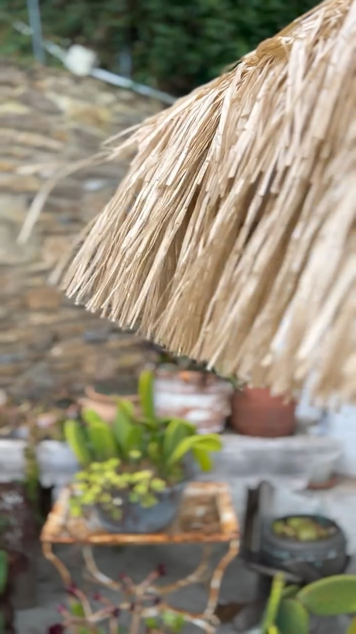 🇪🇸 De Begur, avec amour…
Aujourd’hui, on vous emmène dans les hauteurs de la Costa Brava ✨
Juste un moment en famille… mais toujours avec le même savoir-faire et l’amour des bons produits. 💛
La vue ? Magique.
La paella ? Encore plus. 😍
Parce que chez nous, la cuisine, ce n’est pas qu’un métier… c’est une histoire de famille.
#montpellier #montpellierfood #costabrava #begur #traiteur #catering #paella #mariage #wedding #espagne #spanishfood