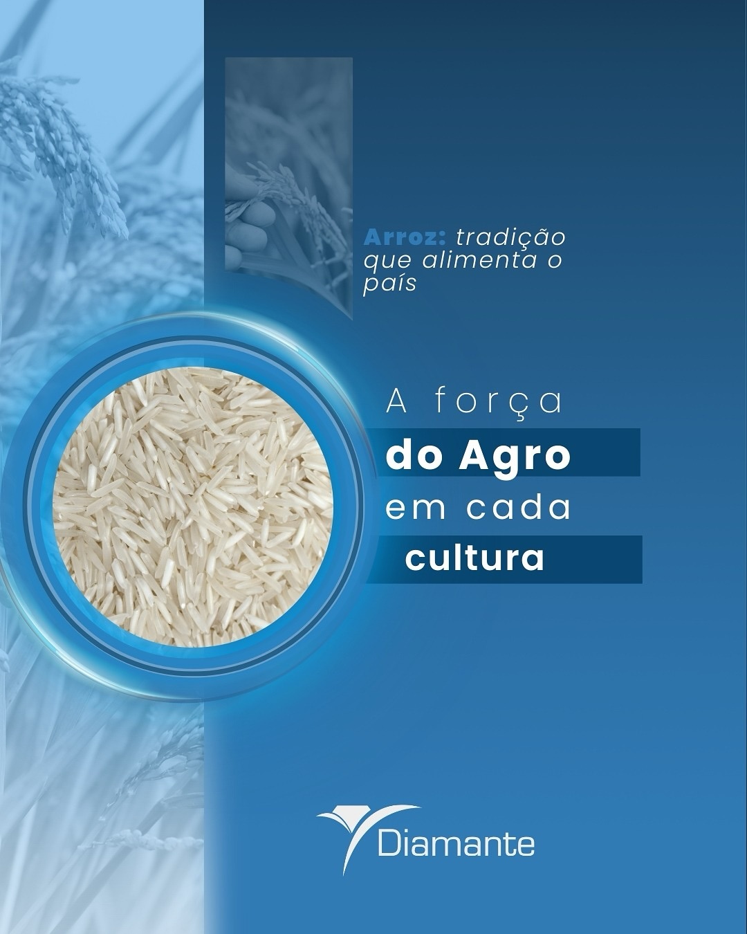 No campo, cada detalhe conta.
Da escolha da semente ao manejo do solo, a produtividade nasce de técnica, respeito e visão de futuro.
Na Diamante Agrícola, cultivamos mais do que grãos: cultivamos confiança em cada etapa da produção.
diamanteagricola #soja #arroz #feijão #agro #sustentabilidade