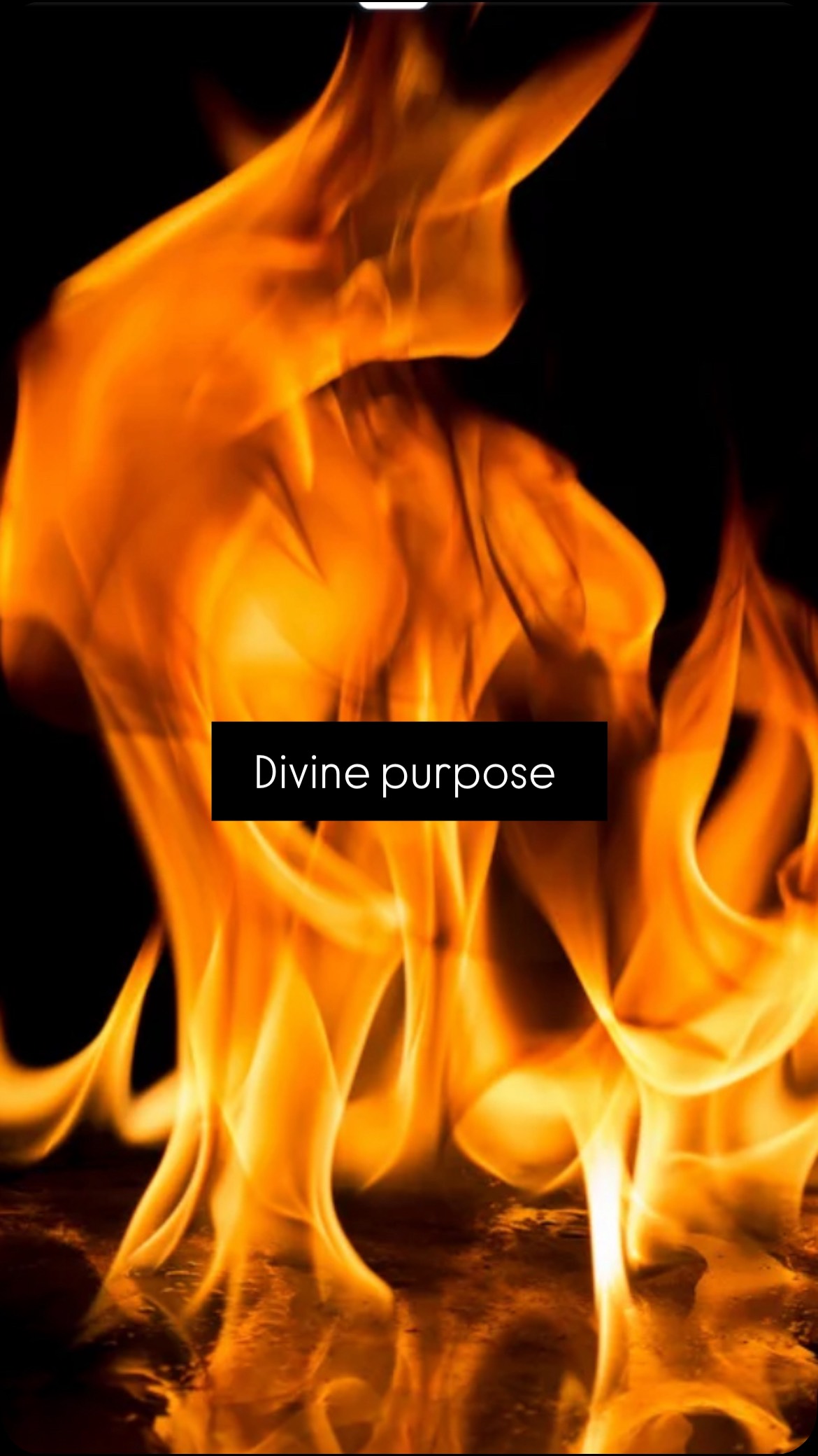 St. Catherine of Siena lived a life of profound faith and unwavering dedication, reminding us that each of us carries a unique purpose within. Her journey of discernment teaches us to seek and embrace our own callings, no matter how challenging they may seem. Let her inspiring legacy encourage you to uncover and live out the divine purpose embedded in your heart! 🔥 #newauthor #catholic #womensfiction #bookstagram #christian #faith #catholicauthor #Saints #God #Purpose